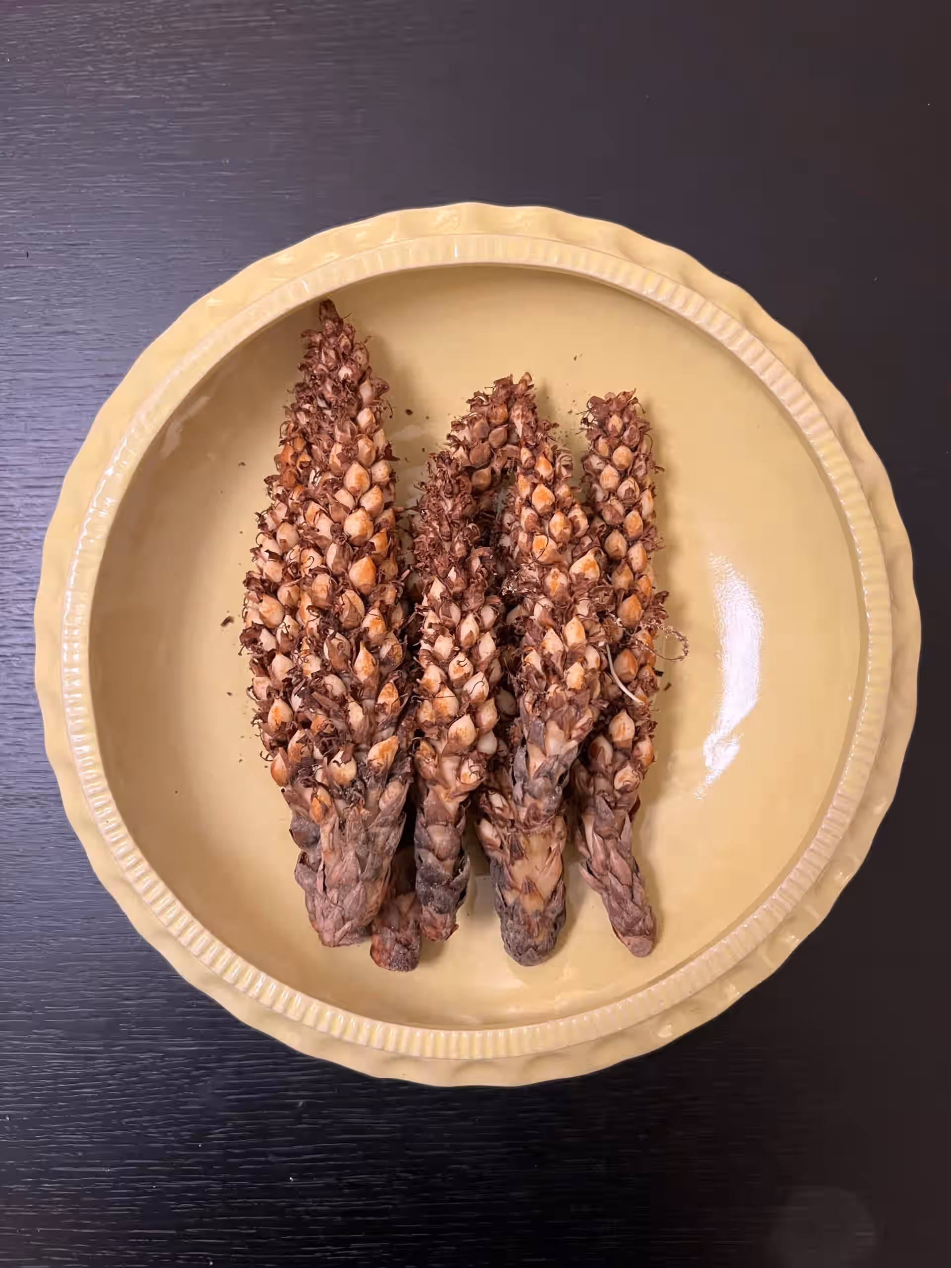Squaw Root, Fresh (aka Bear Corn) for a Limited Time