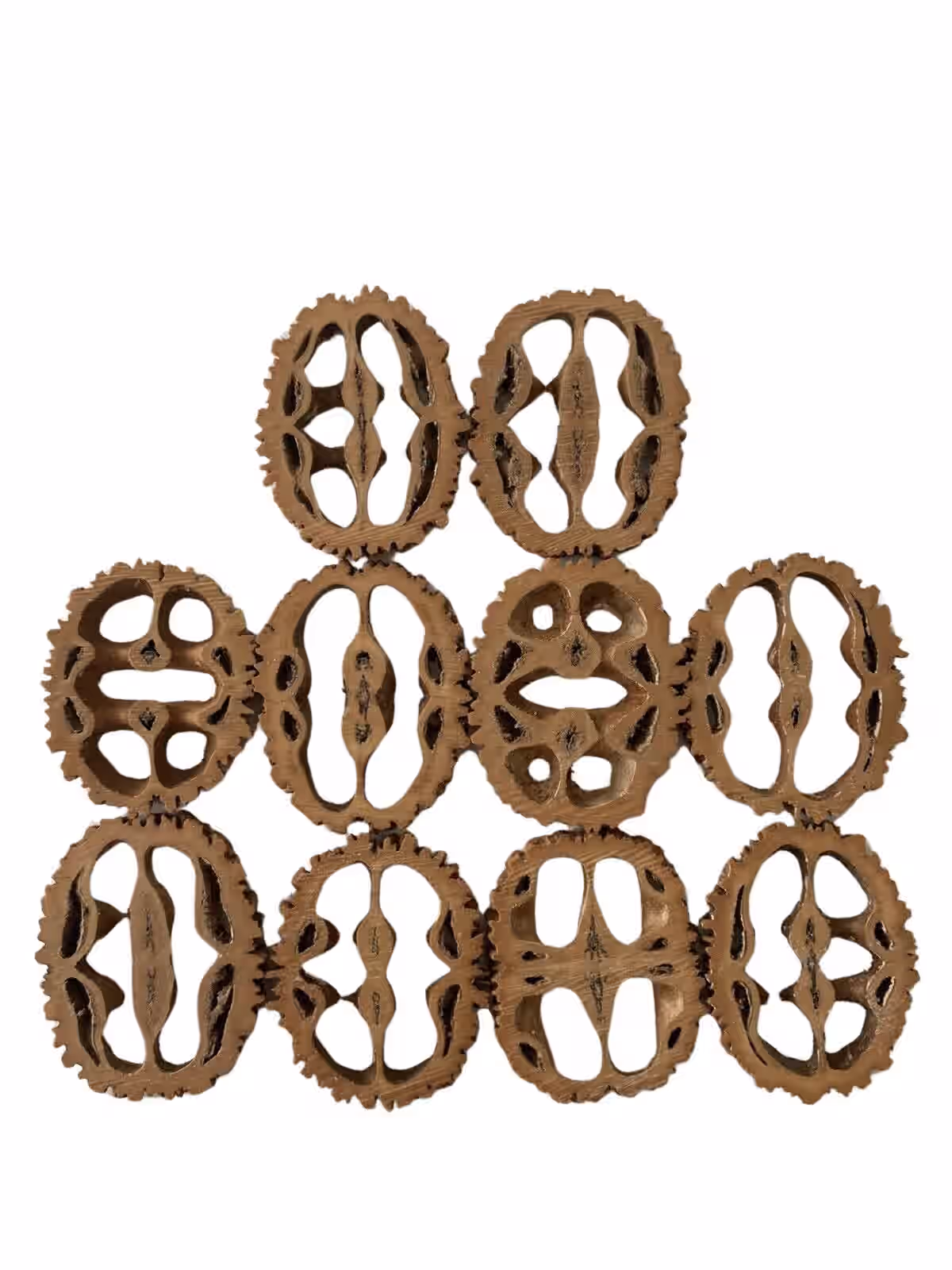 Black Walnut Shell Slices
