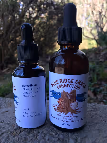 Reishi double extracted 2oz tincture