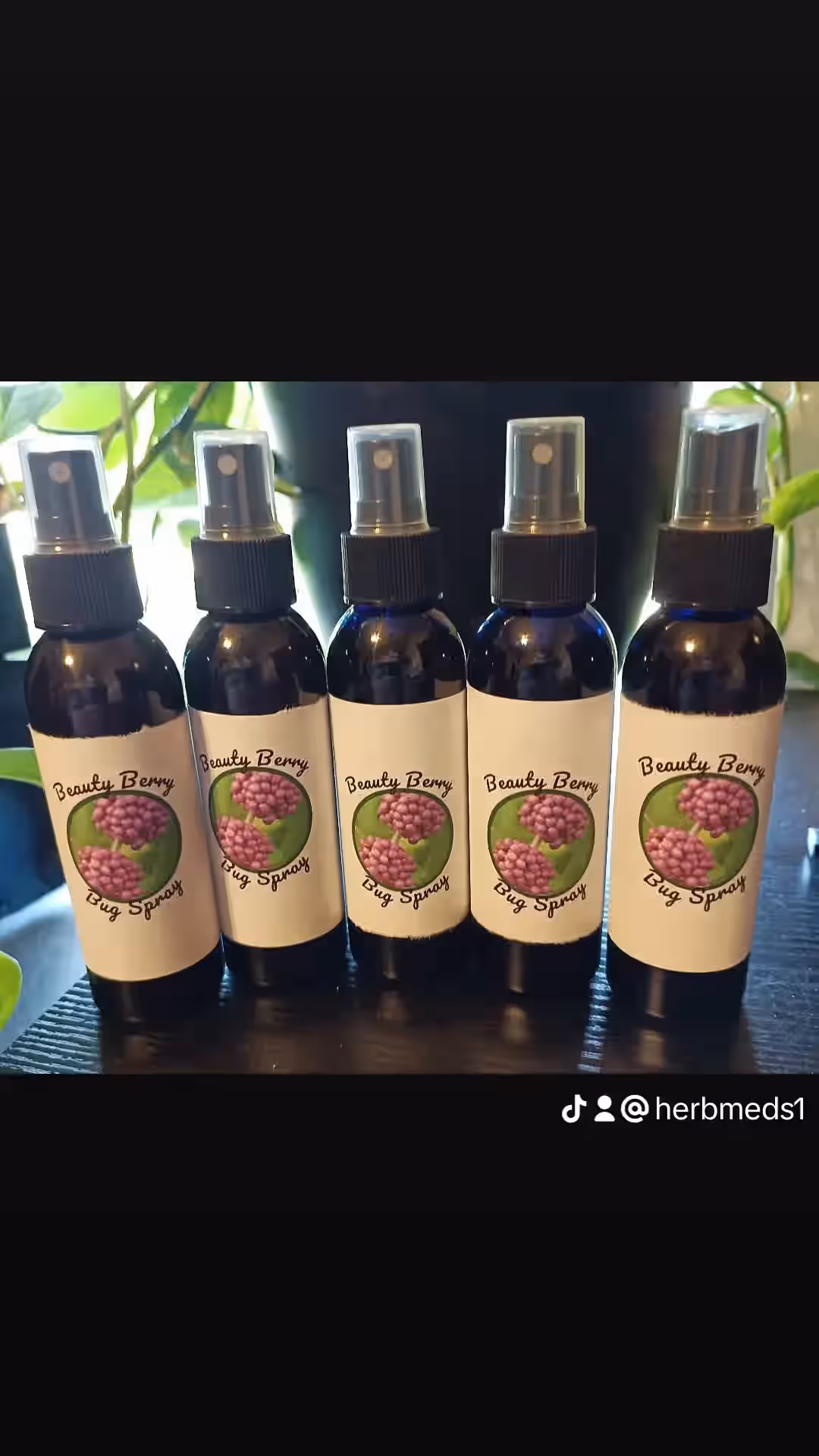 beautyberry bug spray