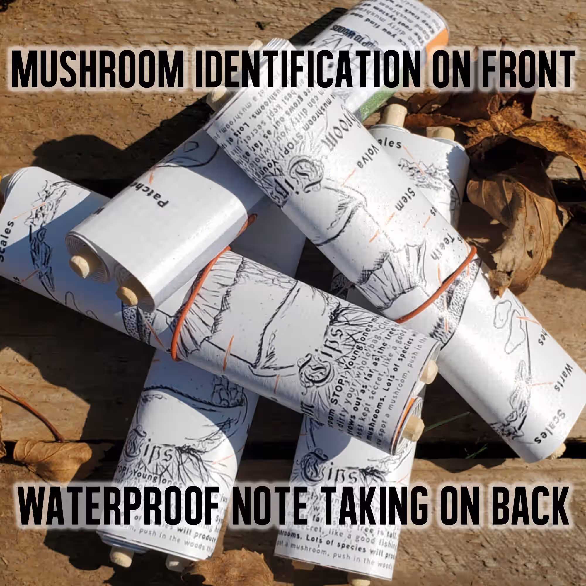 Mushroom ID & Observation Scroll