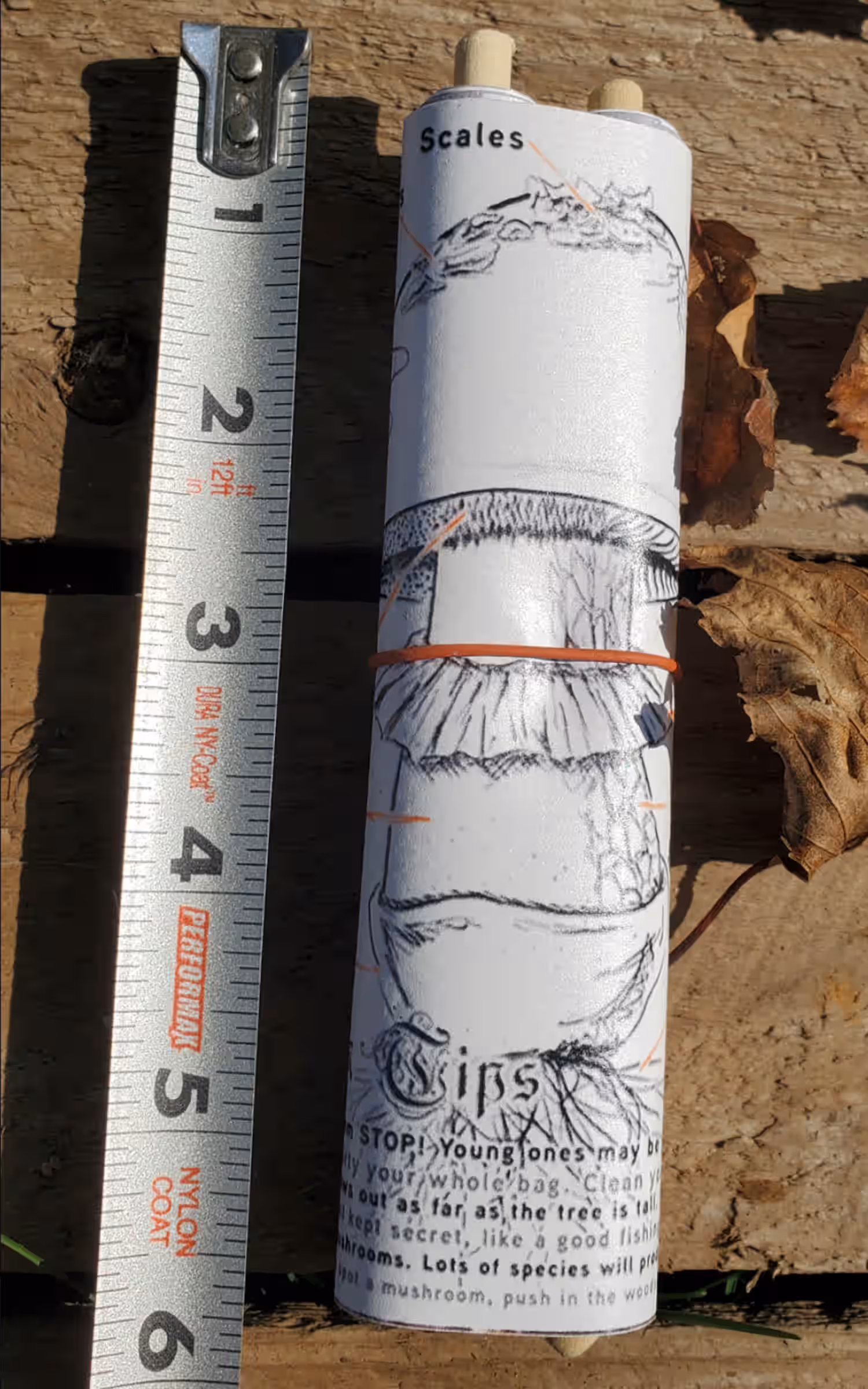 Mushroom ID & Observation Scroll