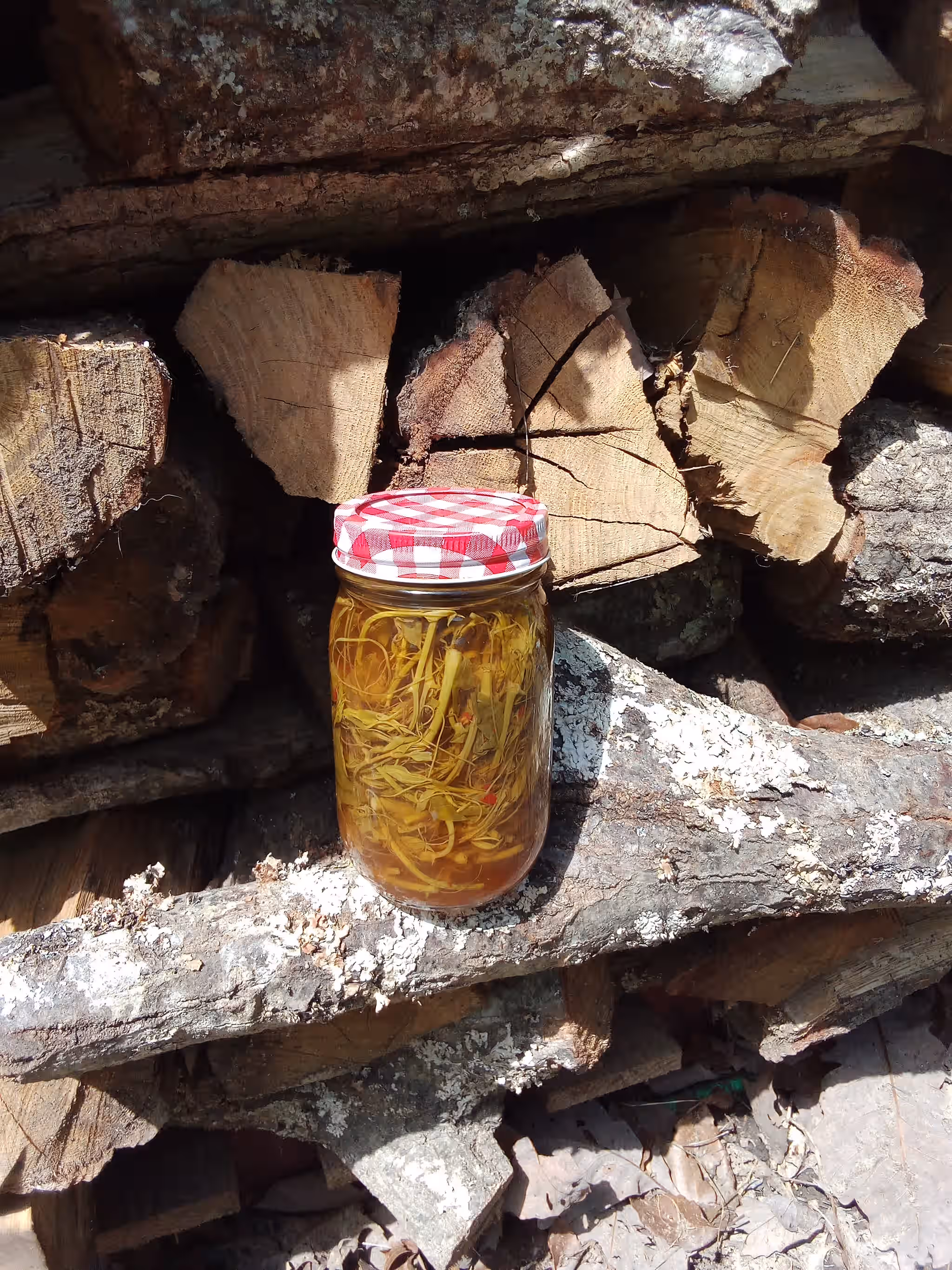 Pickled Greenbriar shoots