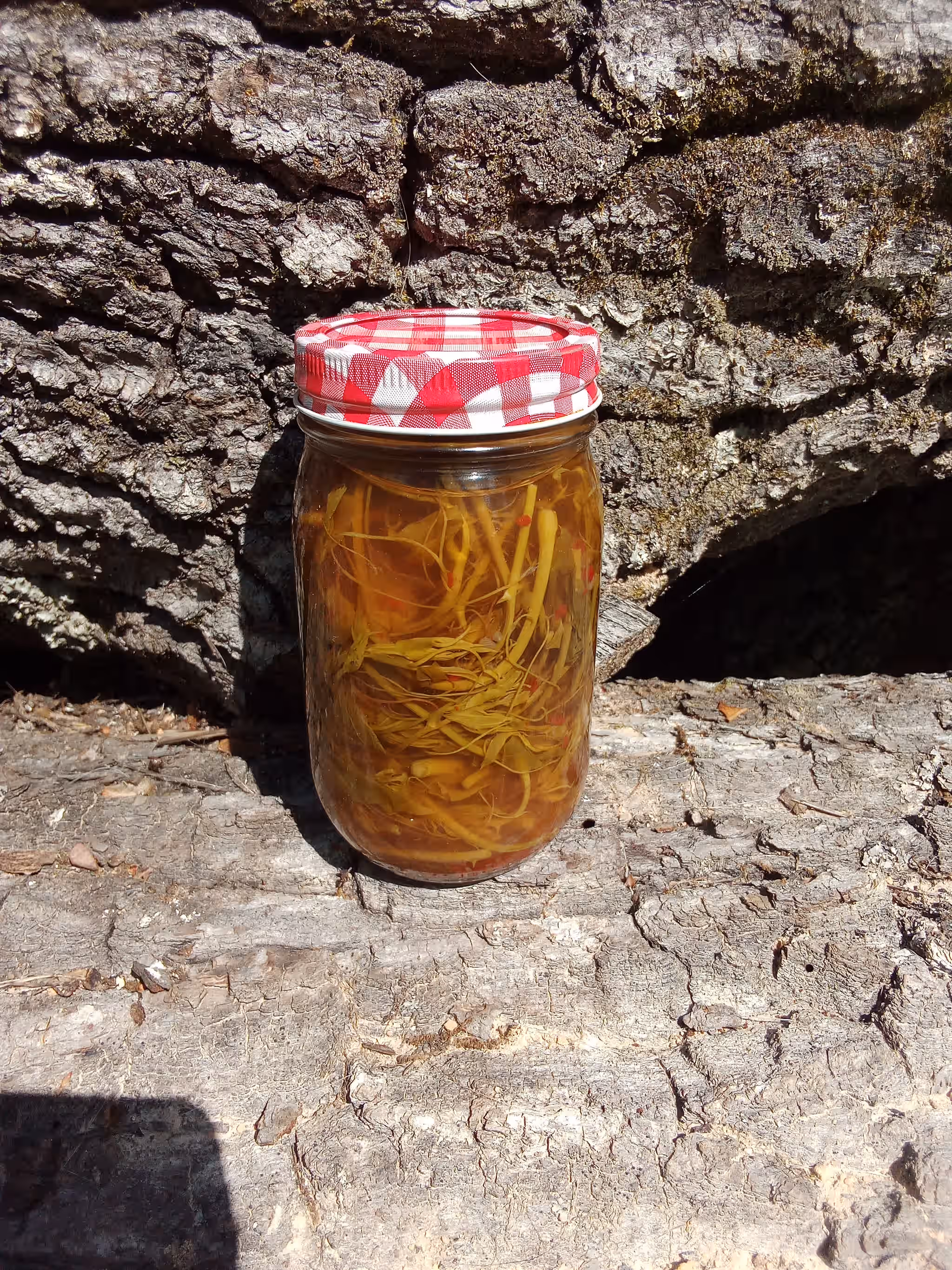 Pickled Greenbriar shoots