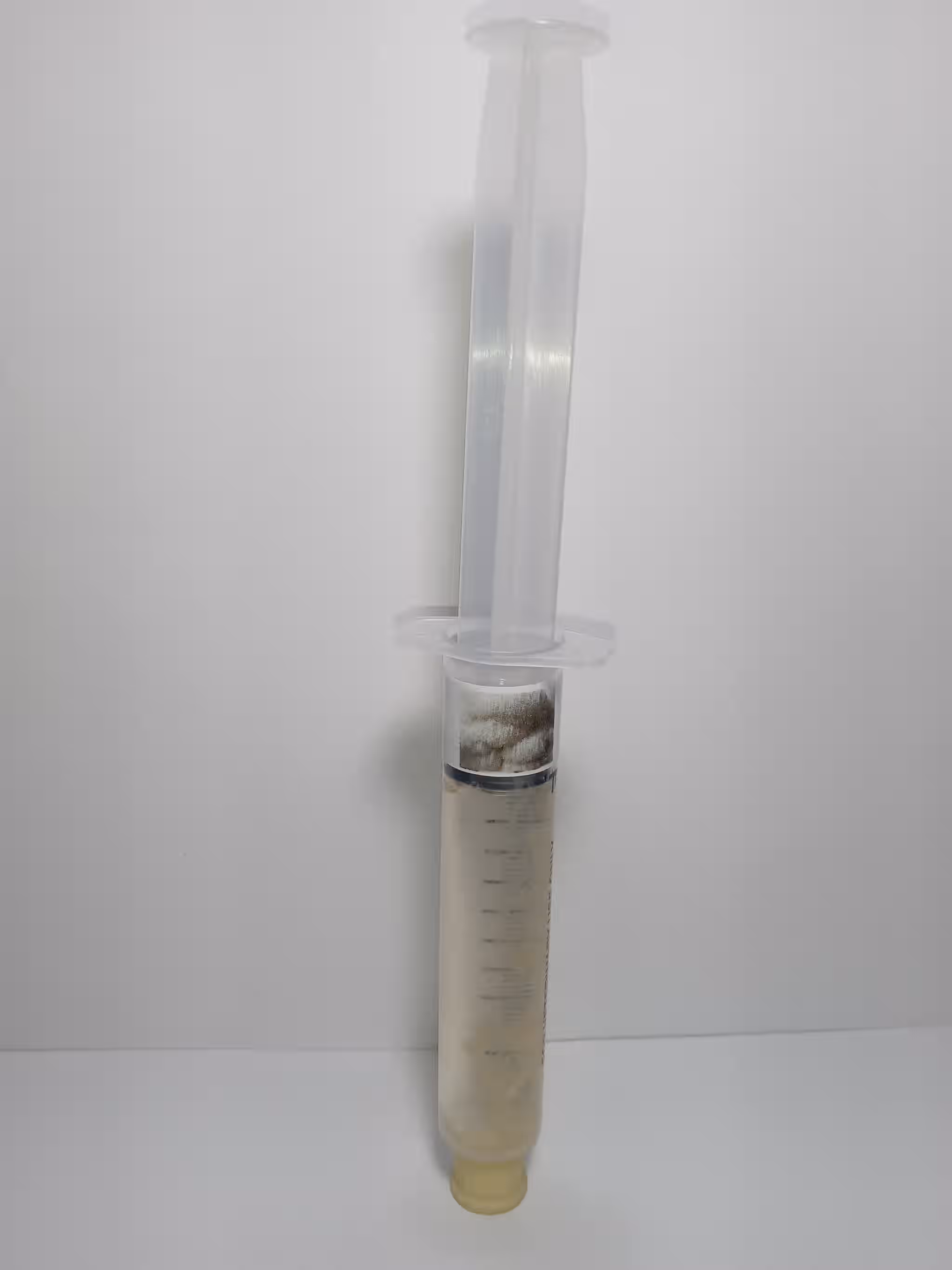 Lions Beard (Lions Mane) Mushroom Mycelium Liquid Culture 12ml