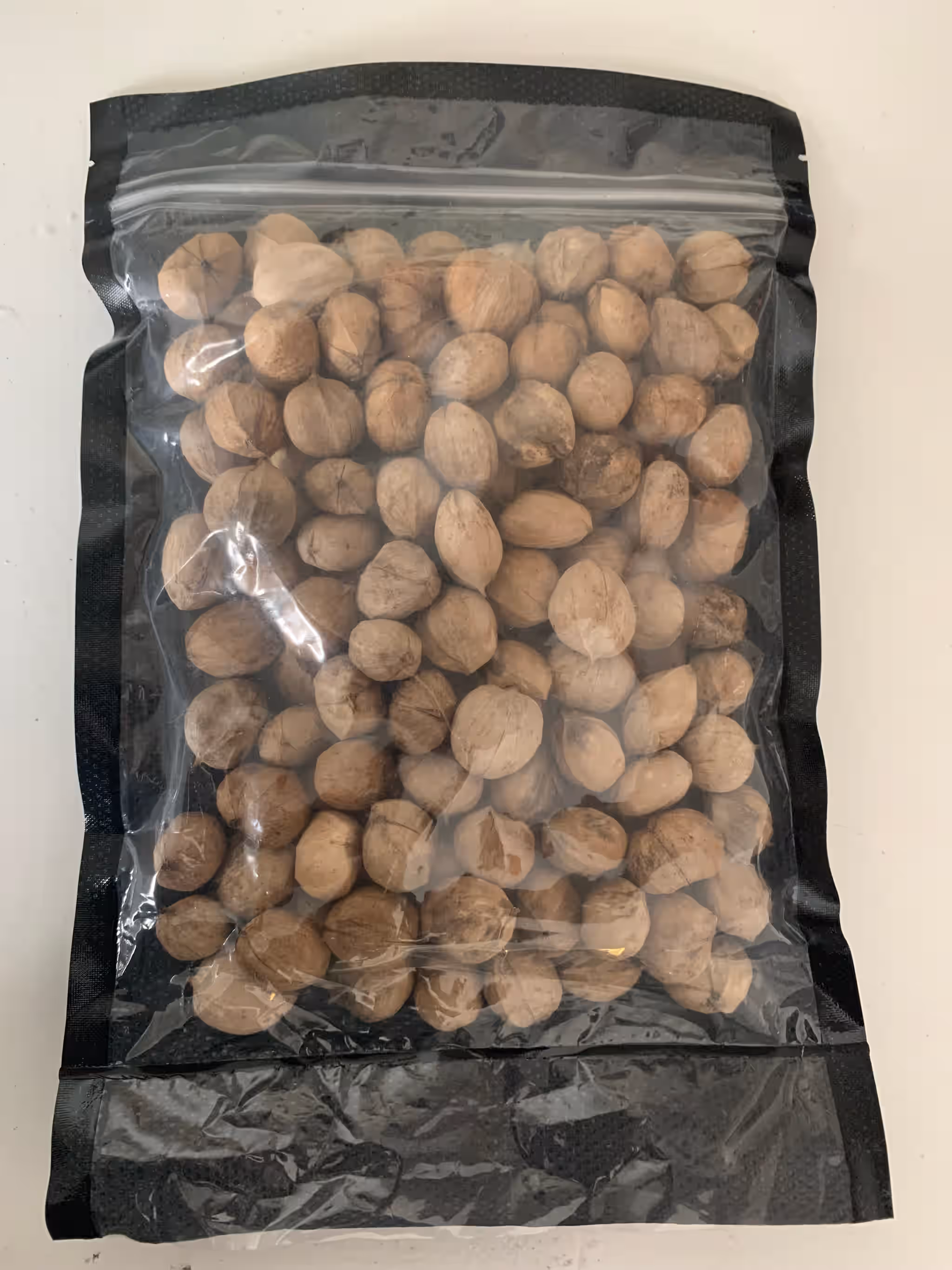 Wild Foraged Hickory Nuts In-Shell (1 Pound)