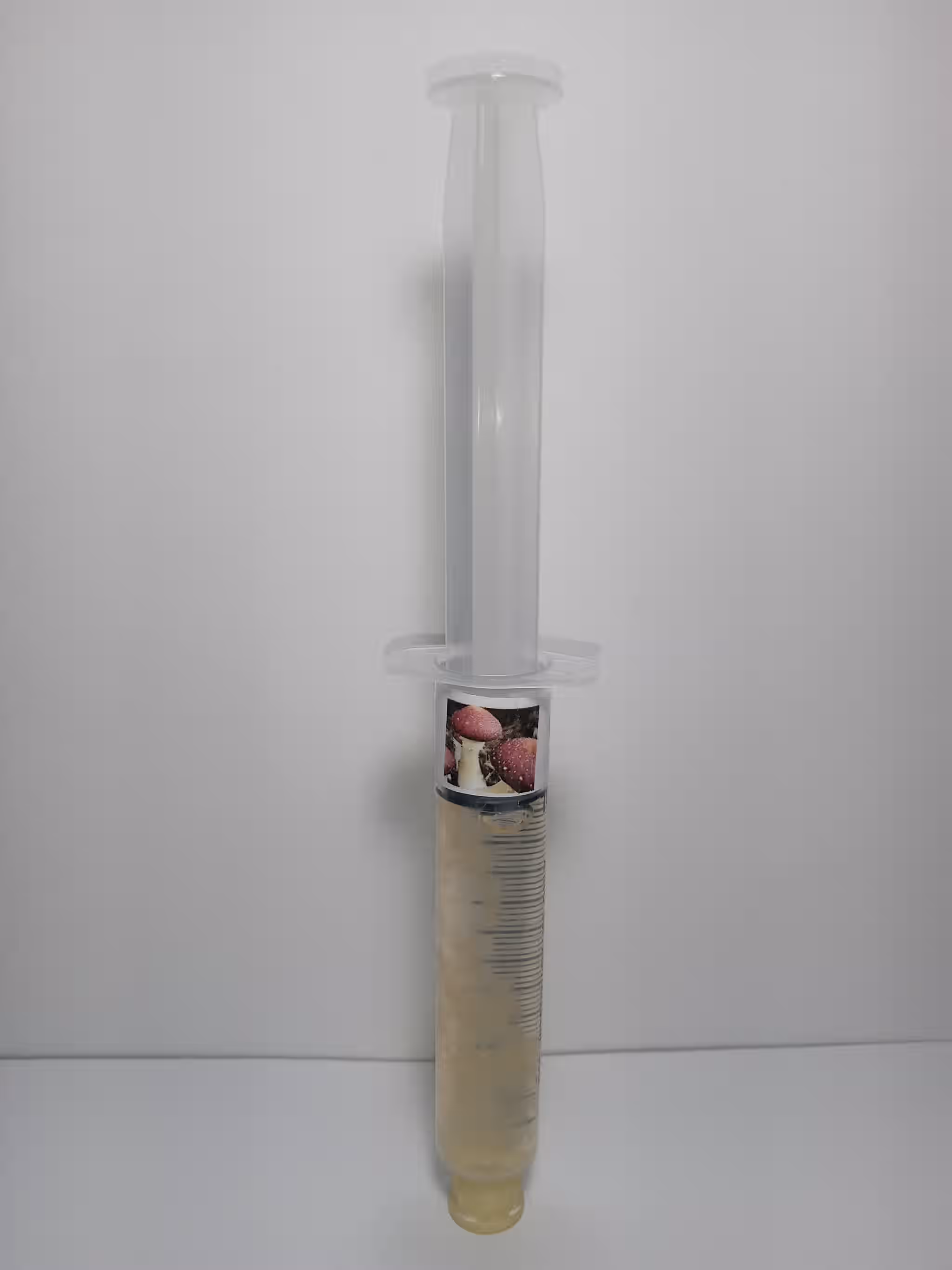 Wine Cap Mushroom Mycelium Liquid Culture 12ml