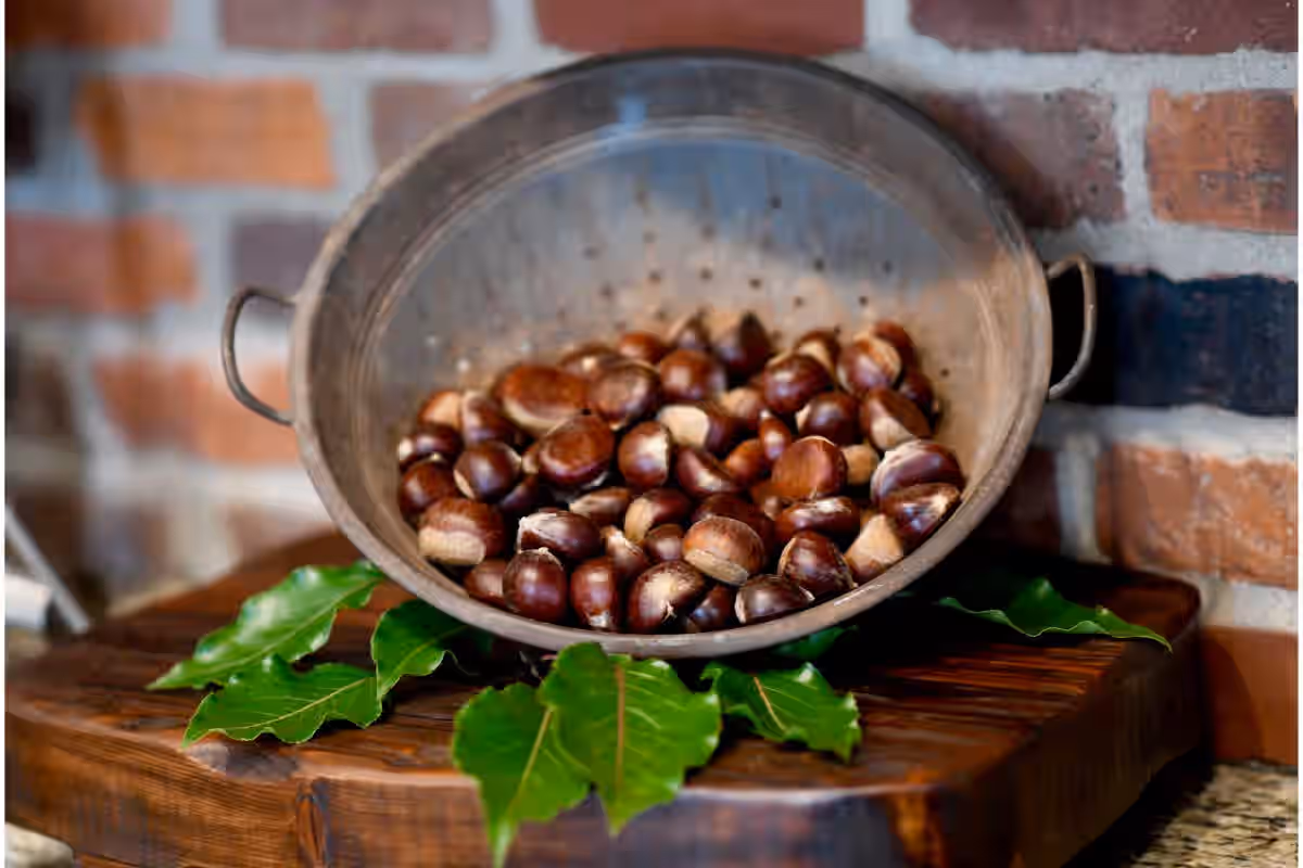 Gourmet Chestnuts