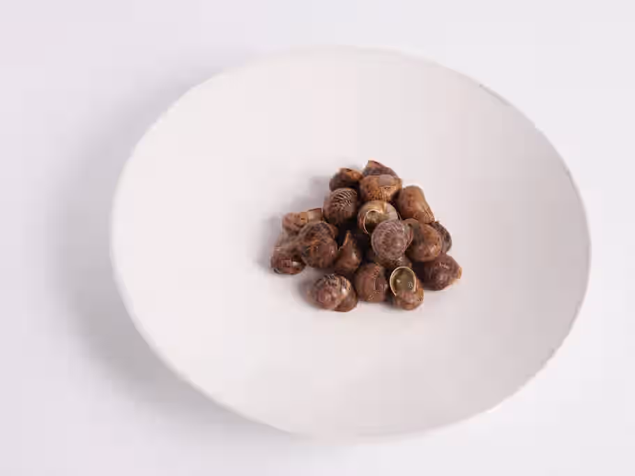 Let's Eat Snails! Family Pack - SHIPS TUESDAY FOR WEDNESDAY DELIVERY 4 Let's Eat Snails! Family Pack - SHIPS TUESDAY FOR WEDNESDAY DELIVERY
