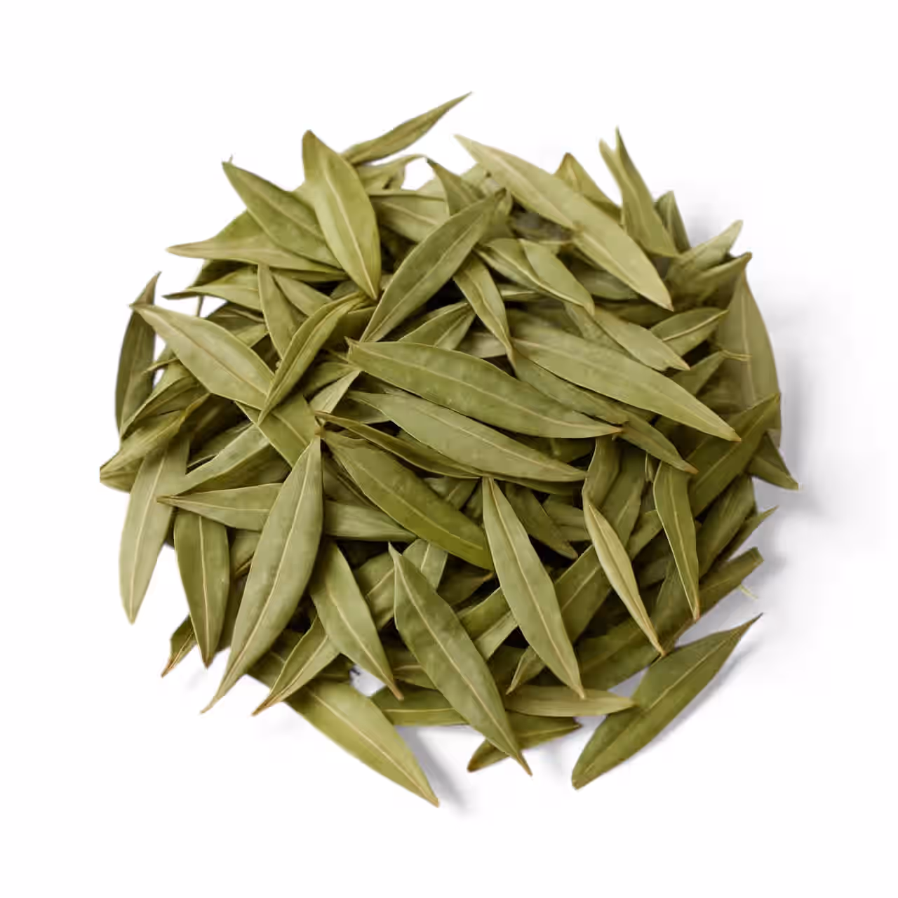 Ancient Tree Lebanese Olive Leaves (1oz)