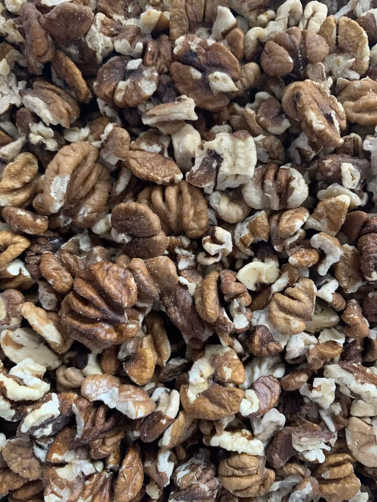 Wild Foraged Hickory Nuts (Shelled)