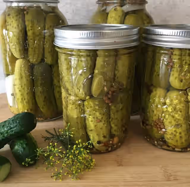 Organic Dill Seeds