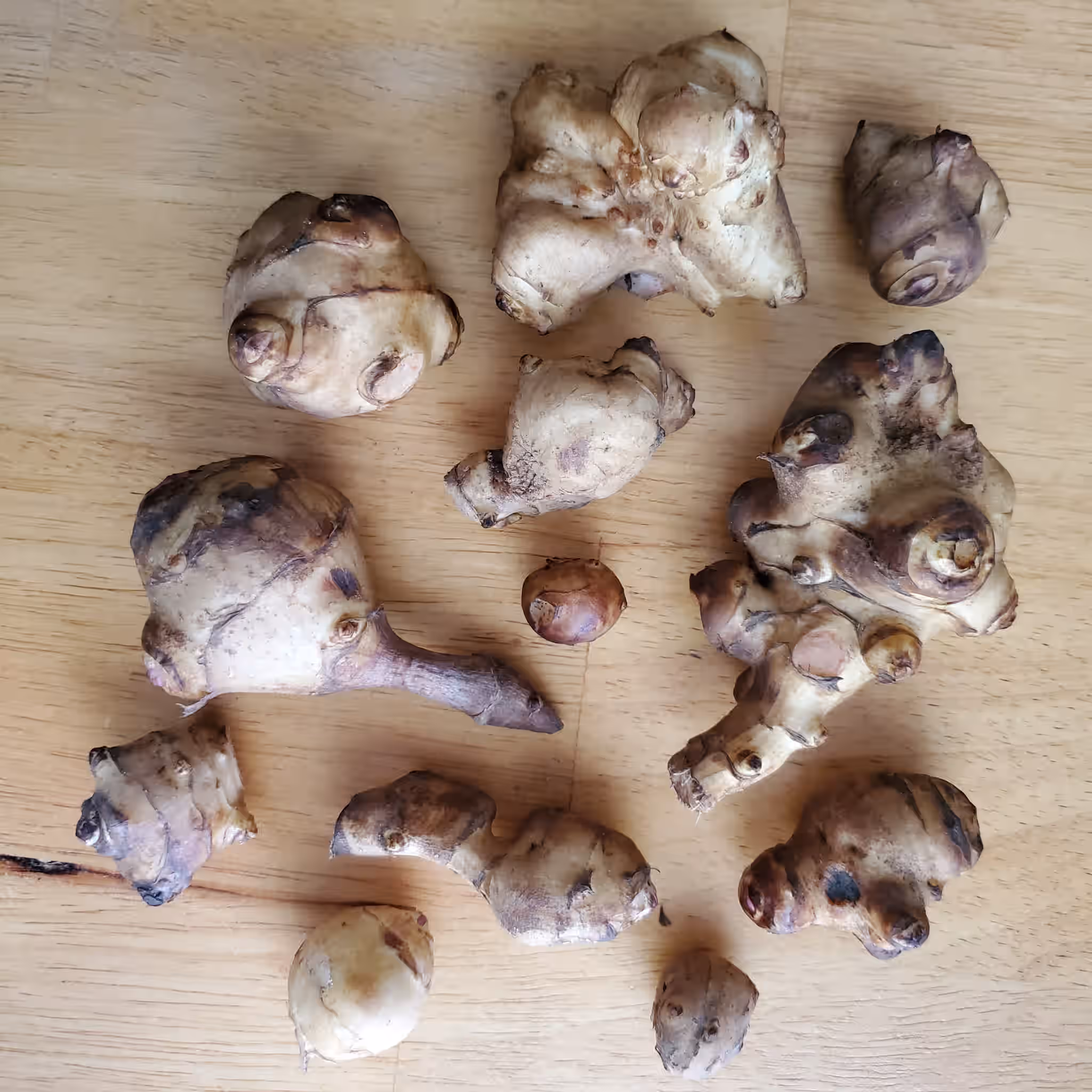 Fresh Sunchoke 10-15 tubers