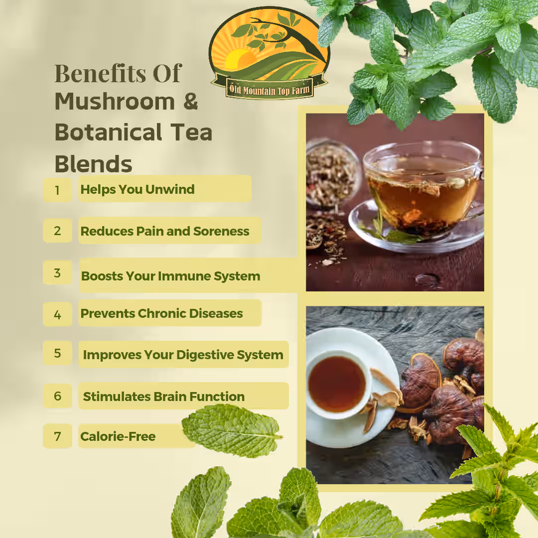 Nervine Blend - Functional Mushroom & Botanical Adaptogen Tea Blend