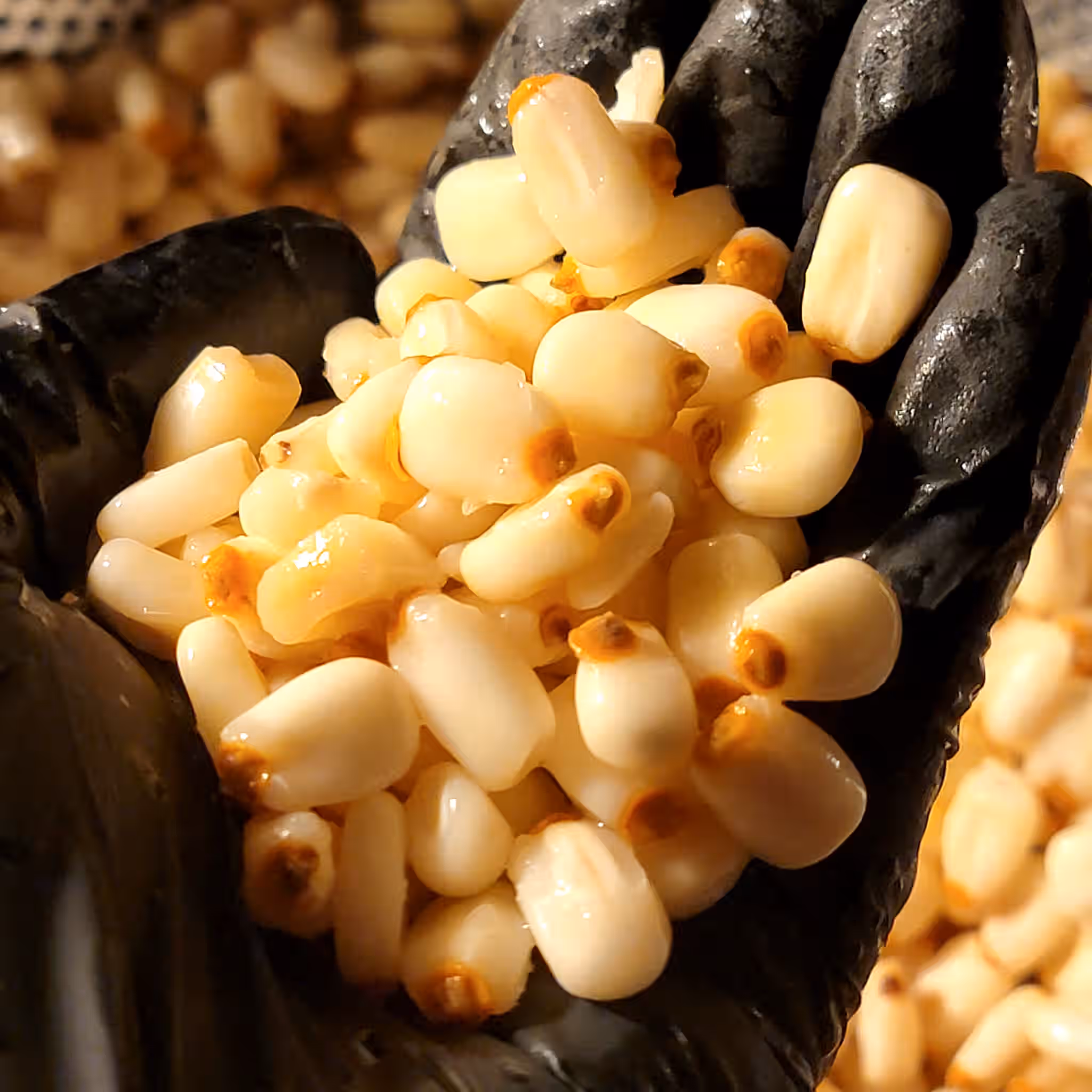 Organic Yellow Hominy Pašdáyapi