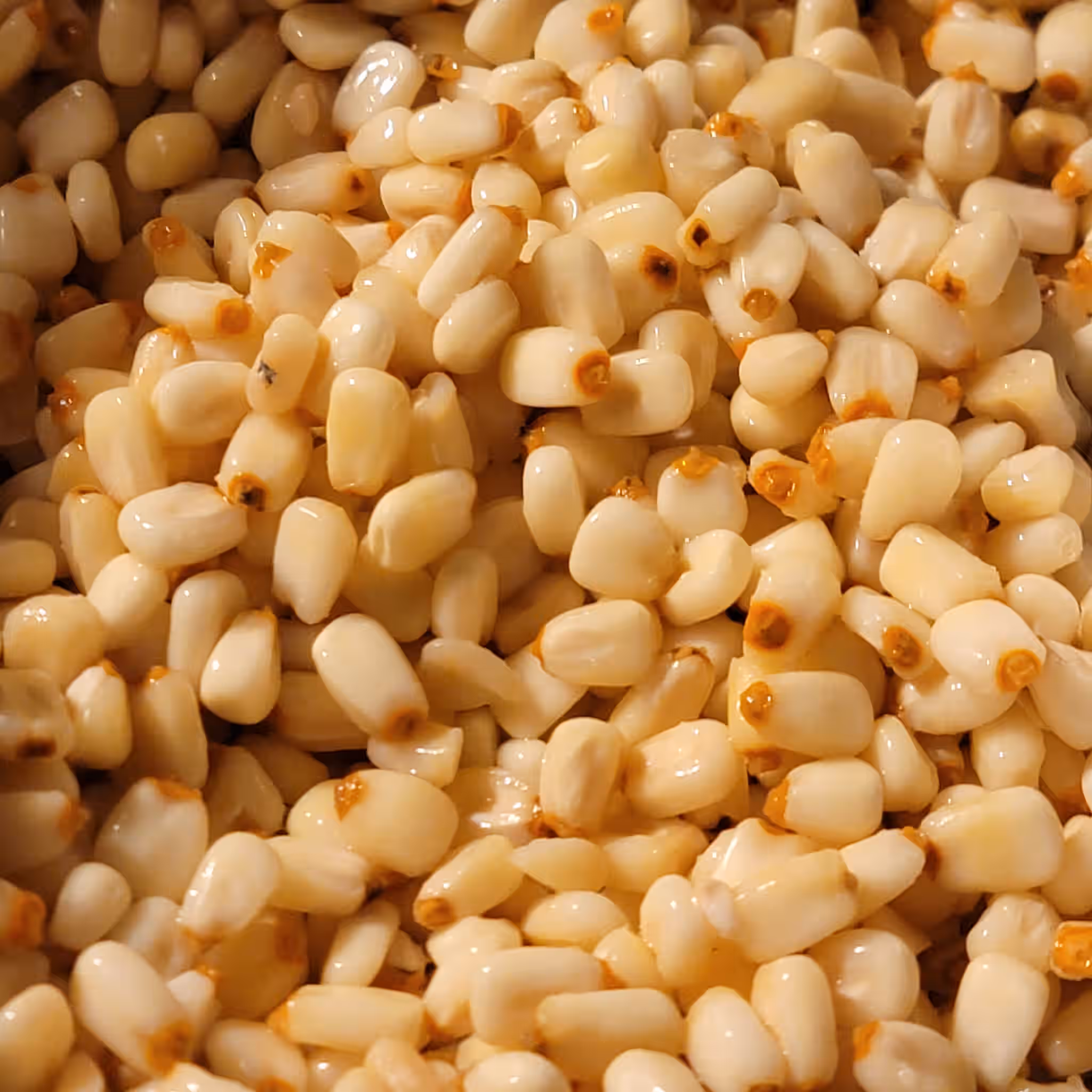Organic Yellow Hominy Pa≈°d√°yapi