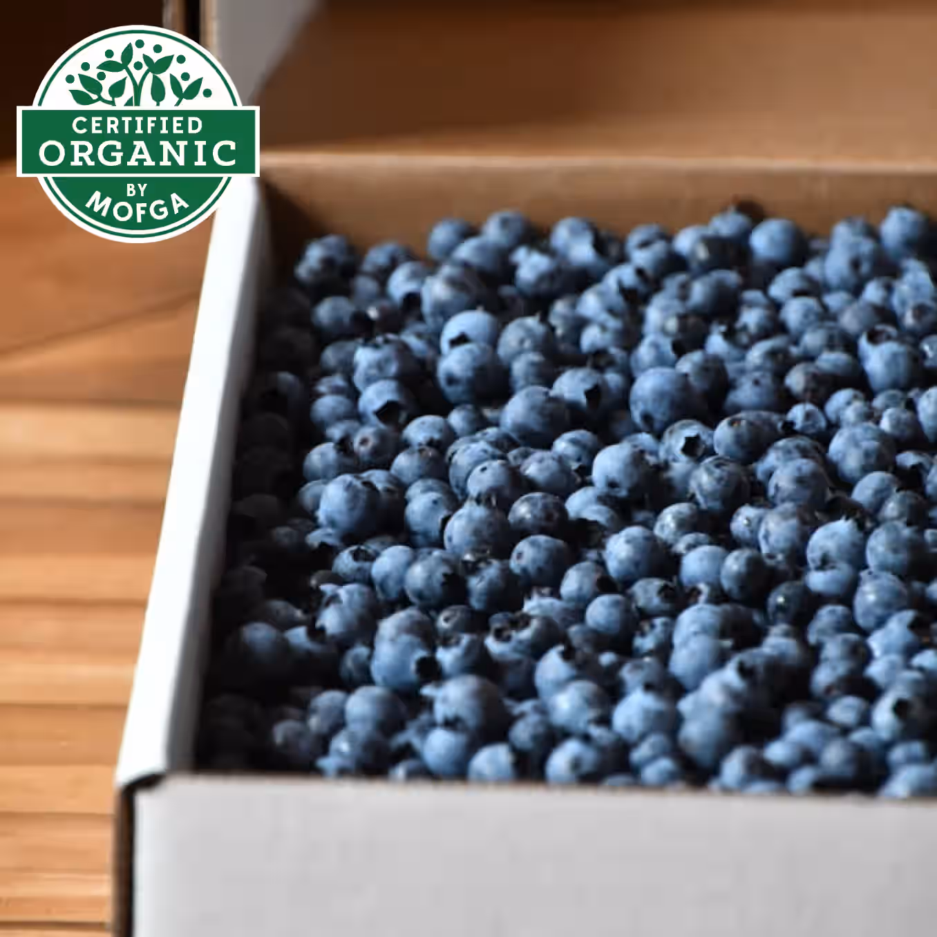 Organic Hand-Raked Wild Blueberries (Frozen) - 5 LB. Box