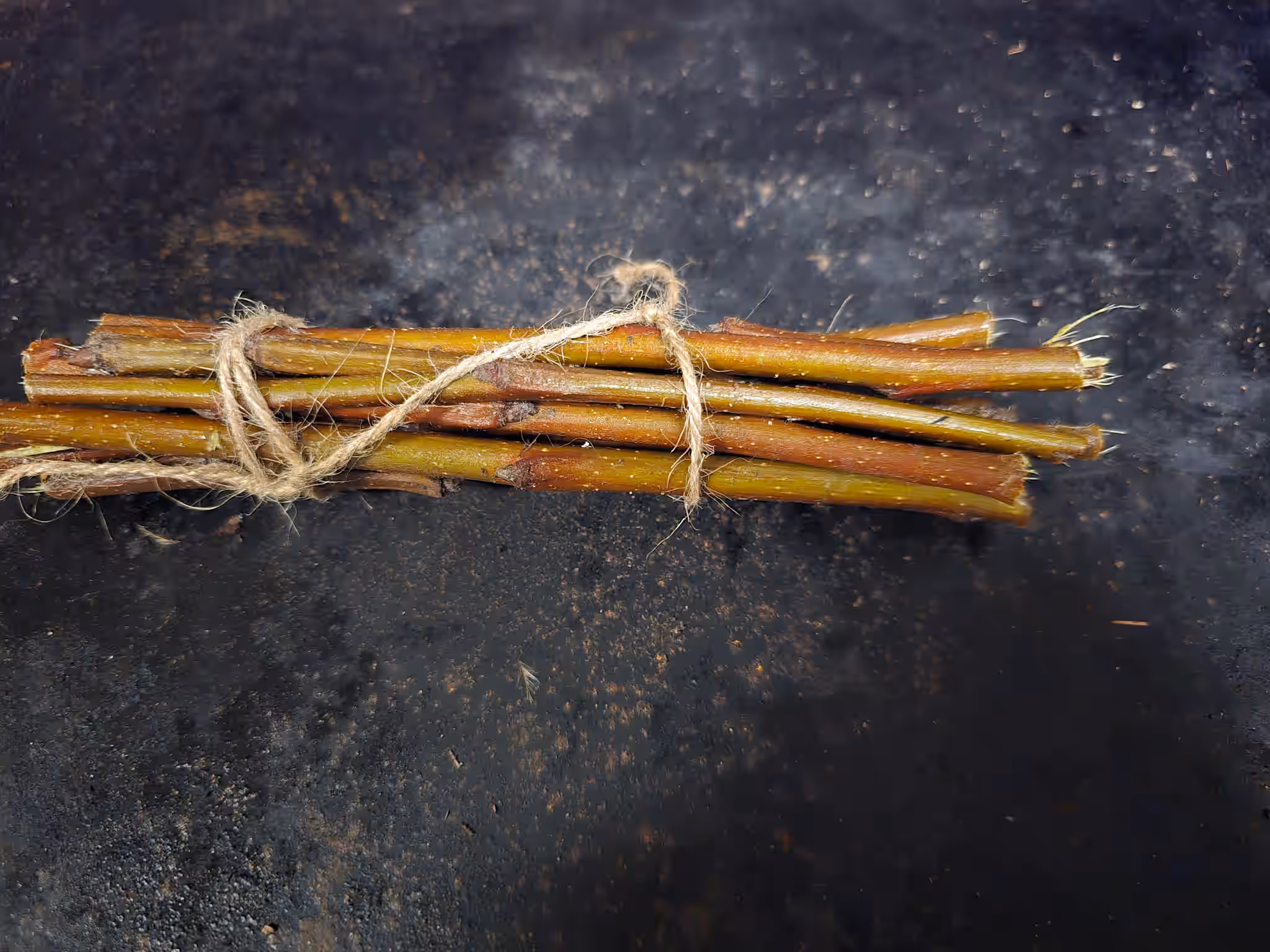Apple Sticks - Bundle of 12