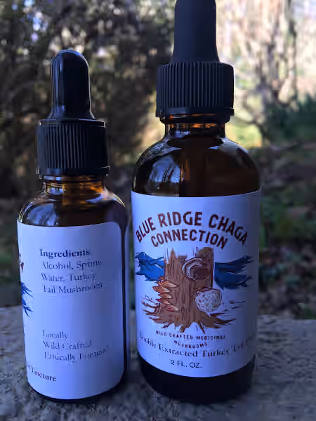 Turkey Tail 2oz double extracted tincture
