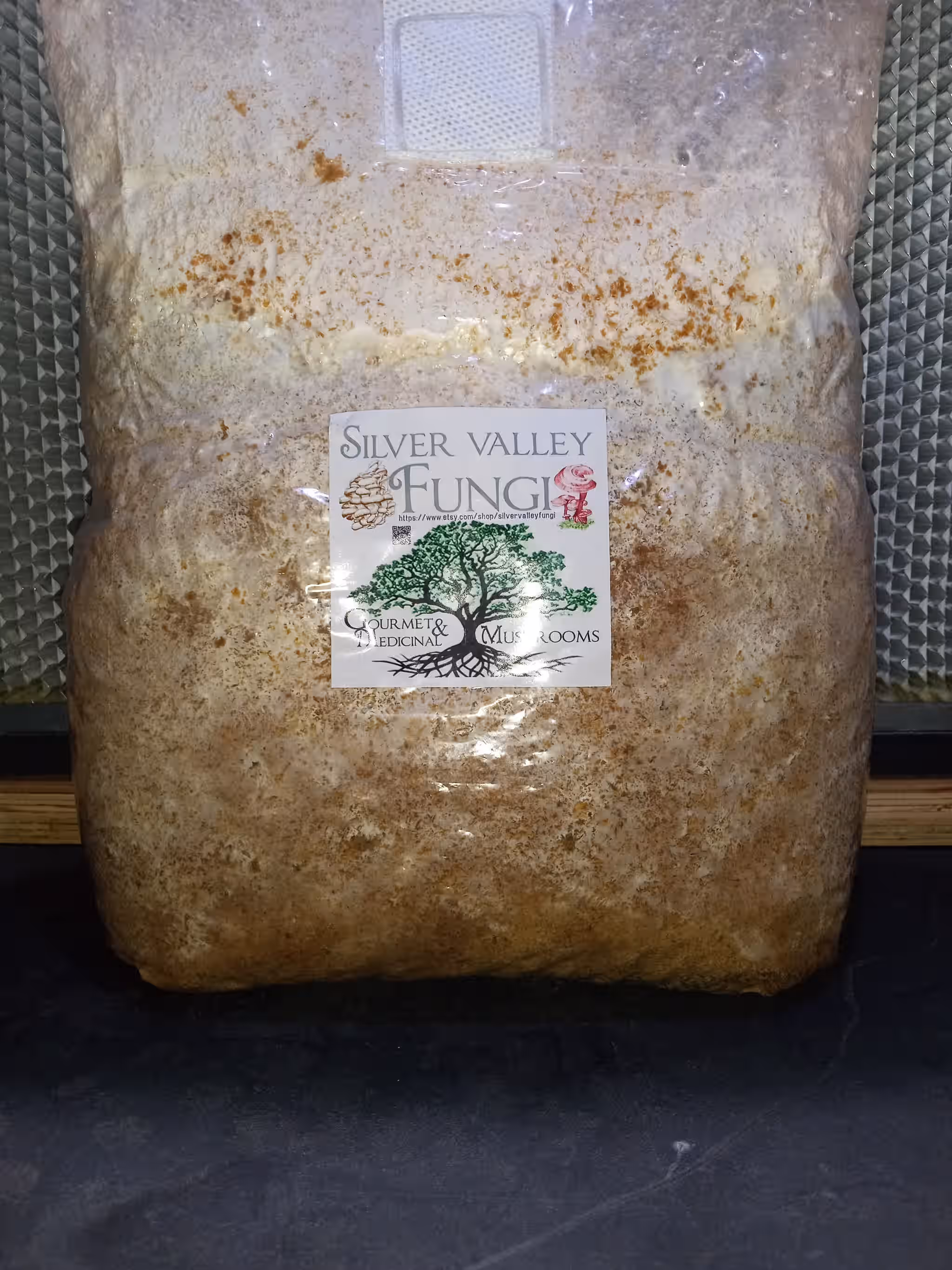 Blue Oyster Mushroom Block 10Lb, Grow It On The Block,  Use As Spawn, Plugs, Substrate