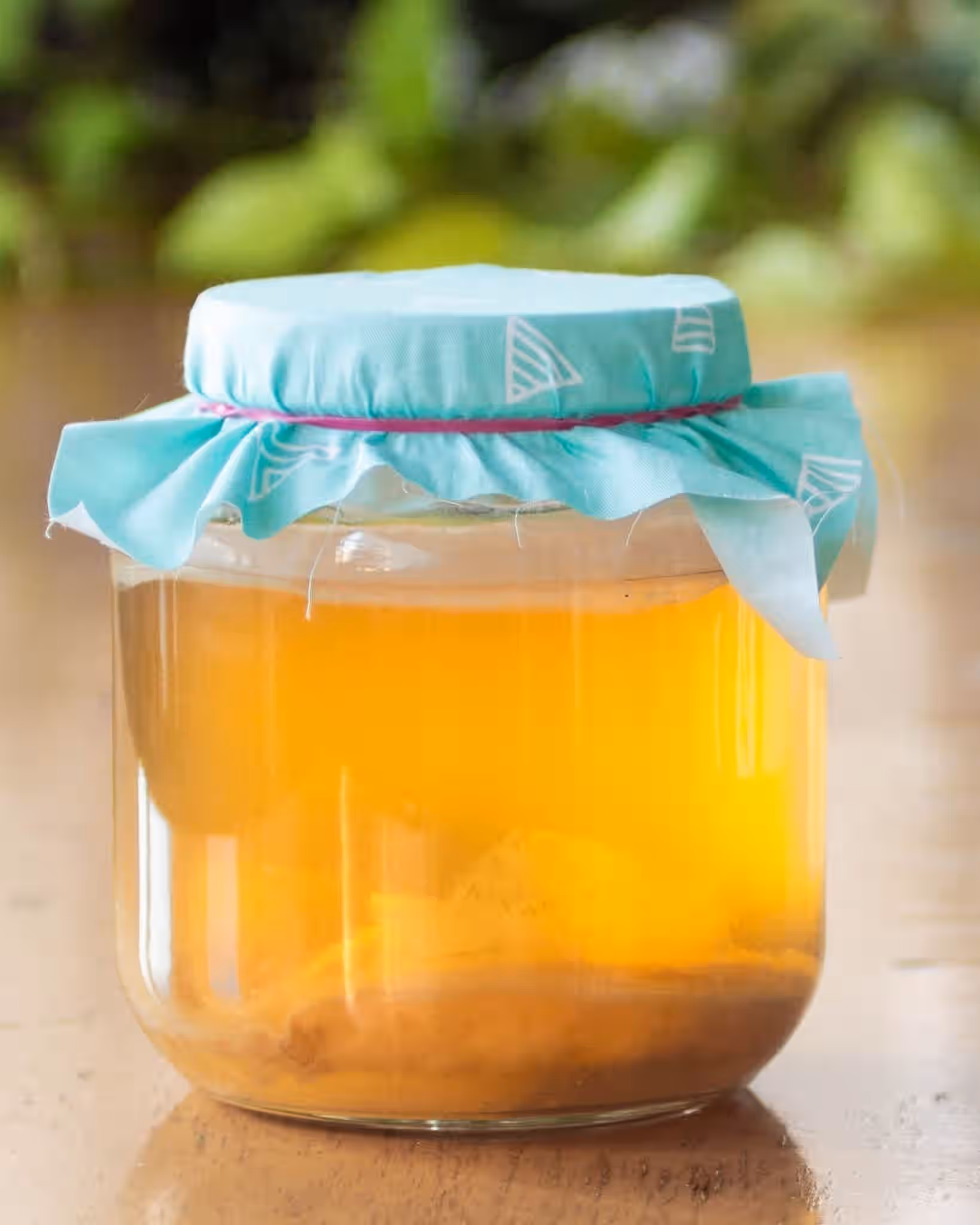 Kombucha Making Kit