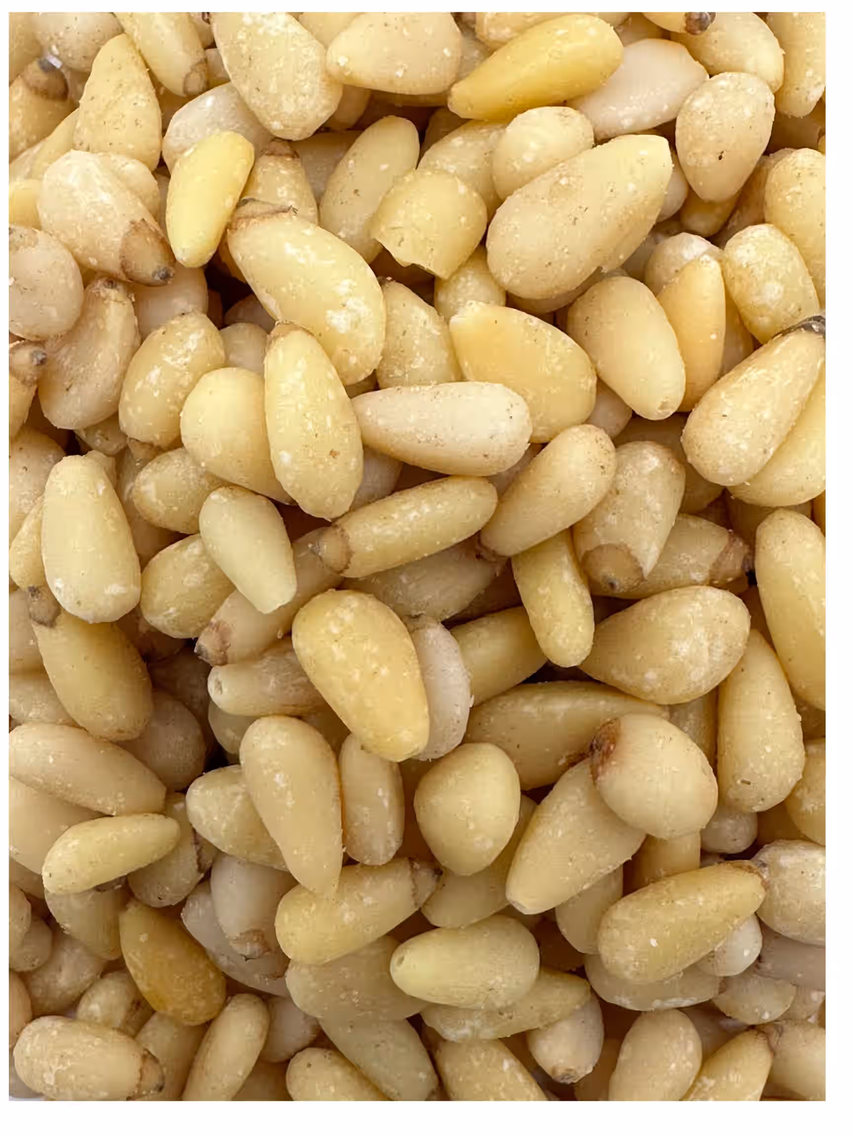 Shelled Pinon Nuts 3 oz