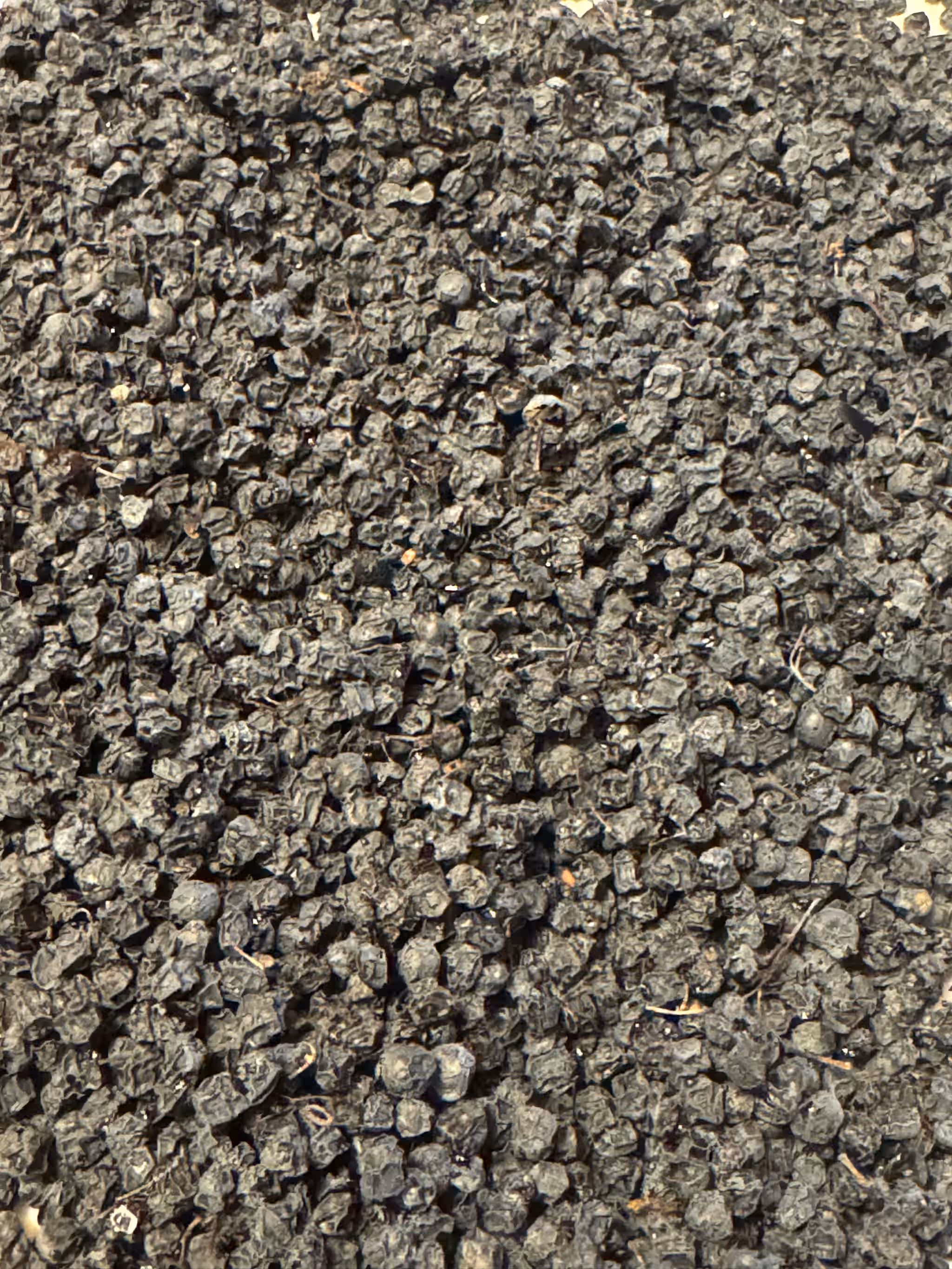 Wild Harvested Oregon Elderberries Dehydrated