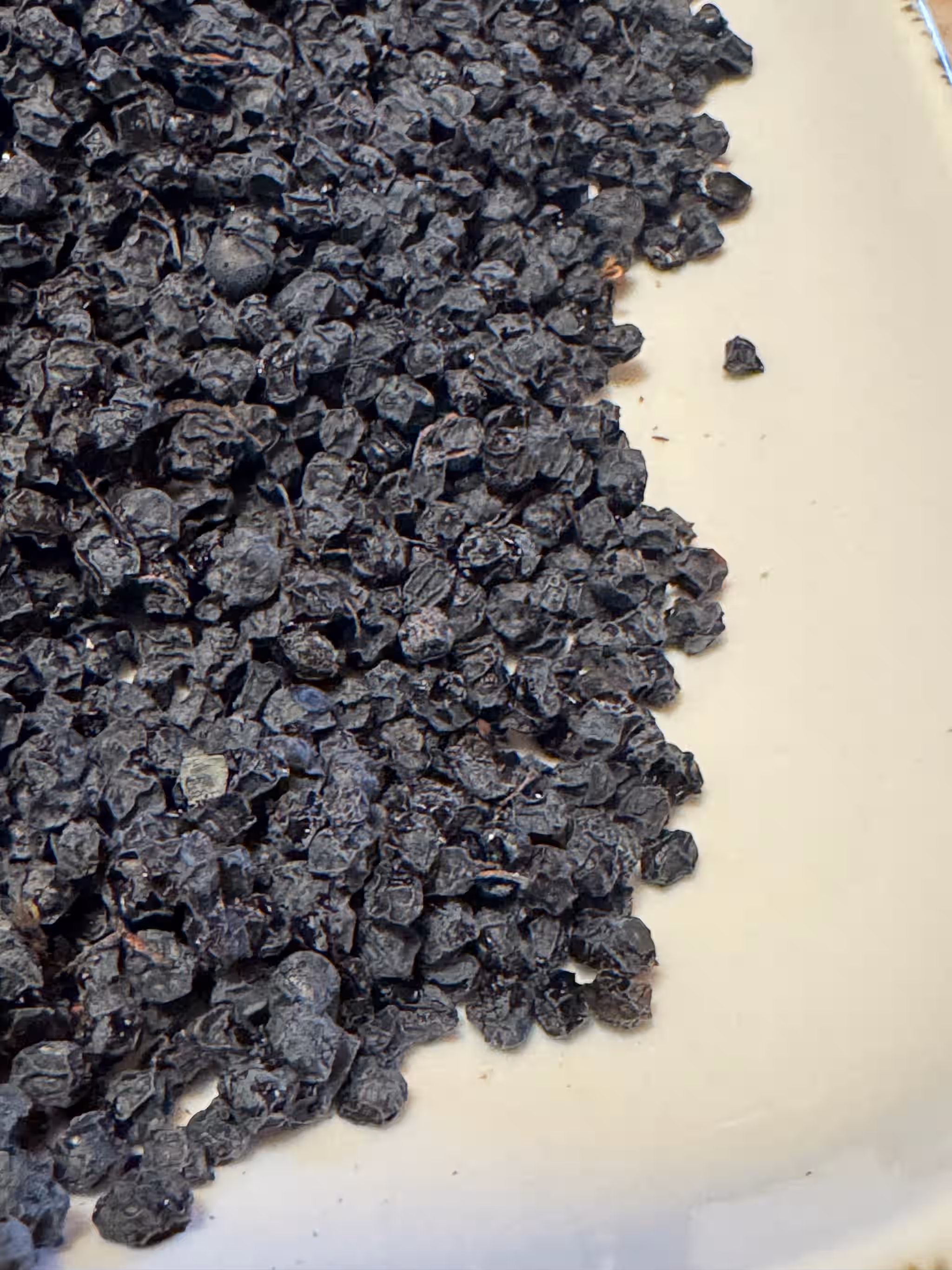 Wild Harvested Oregon Elderberries Dehydrated
