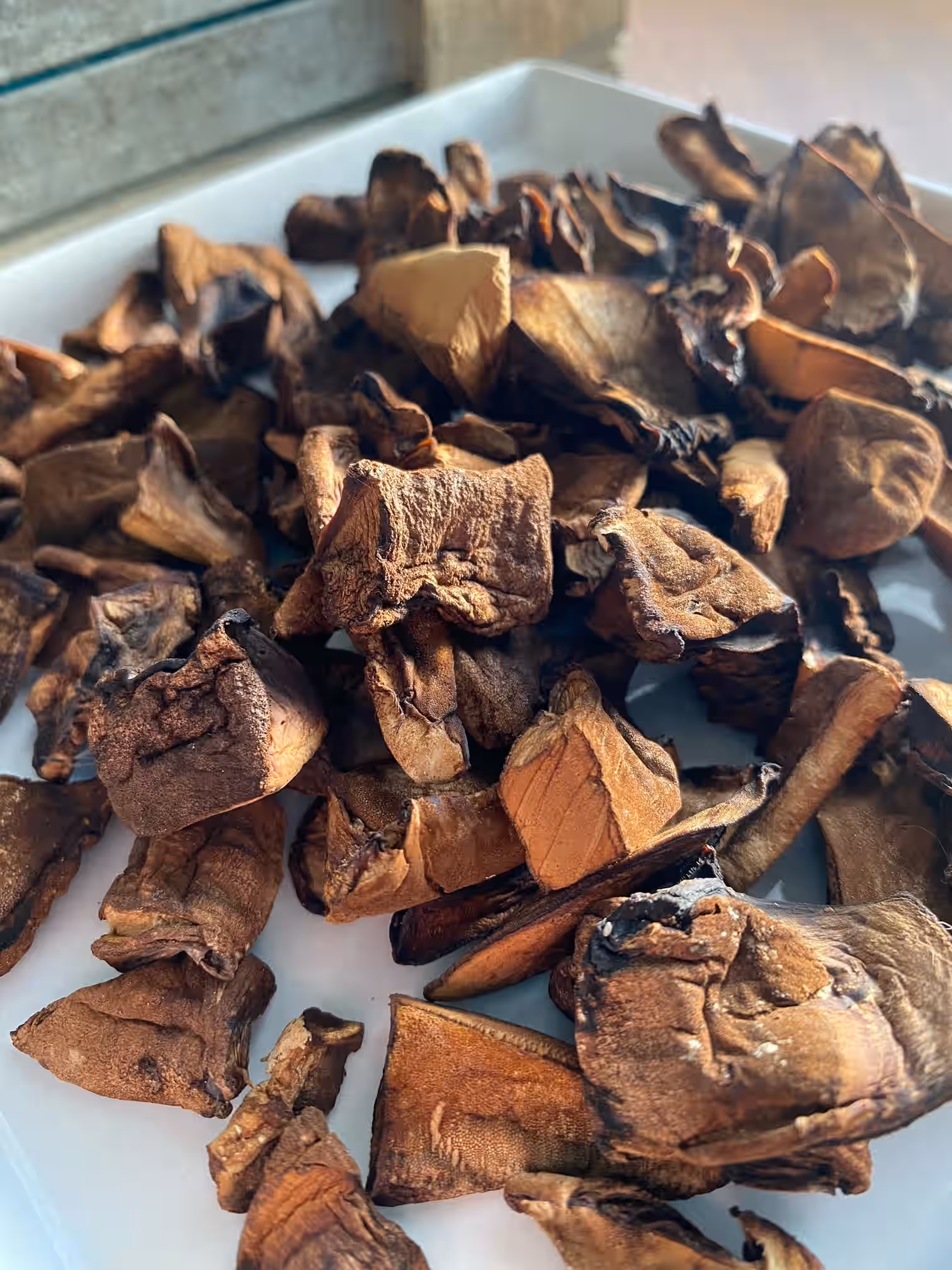 Dried Wild Resinous Polypore (Ischnoderma resinosum)