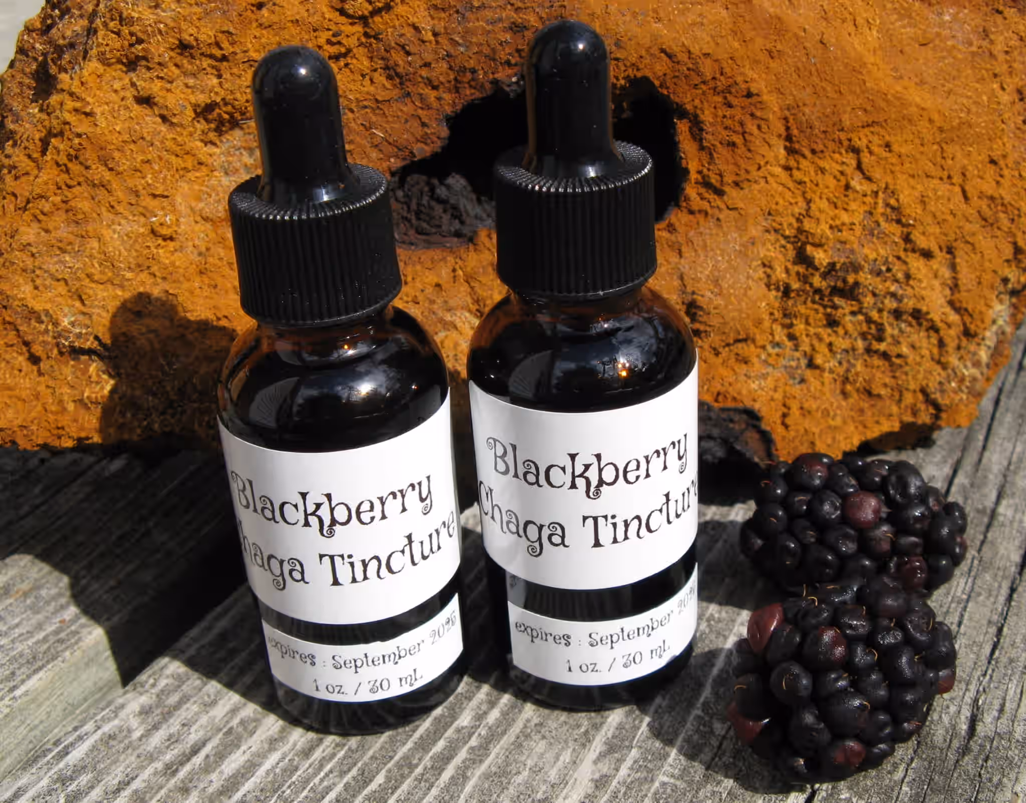 Blackberry Chaga Tincture for Immunity