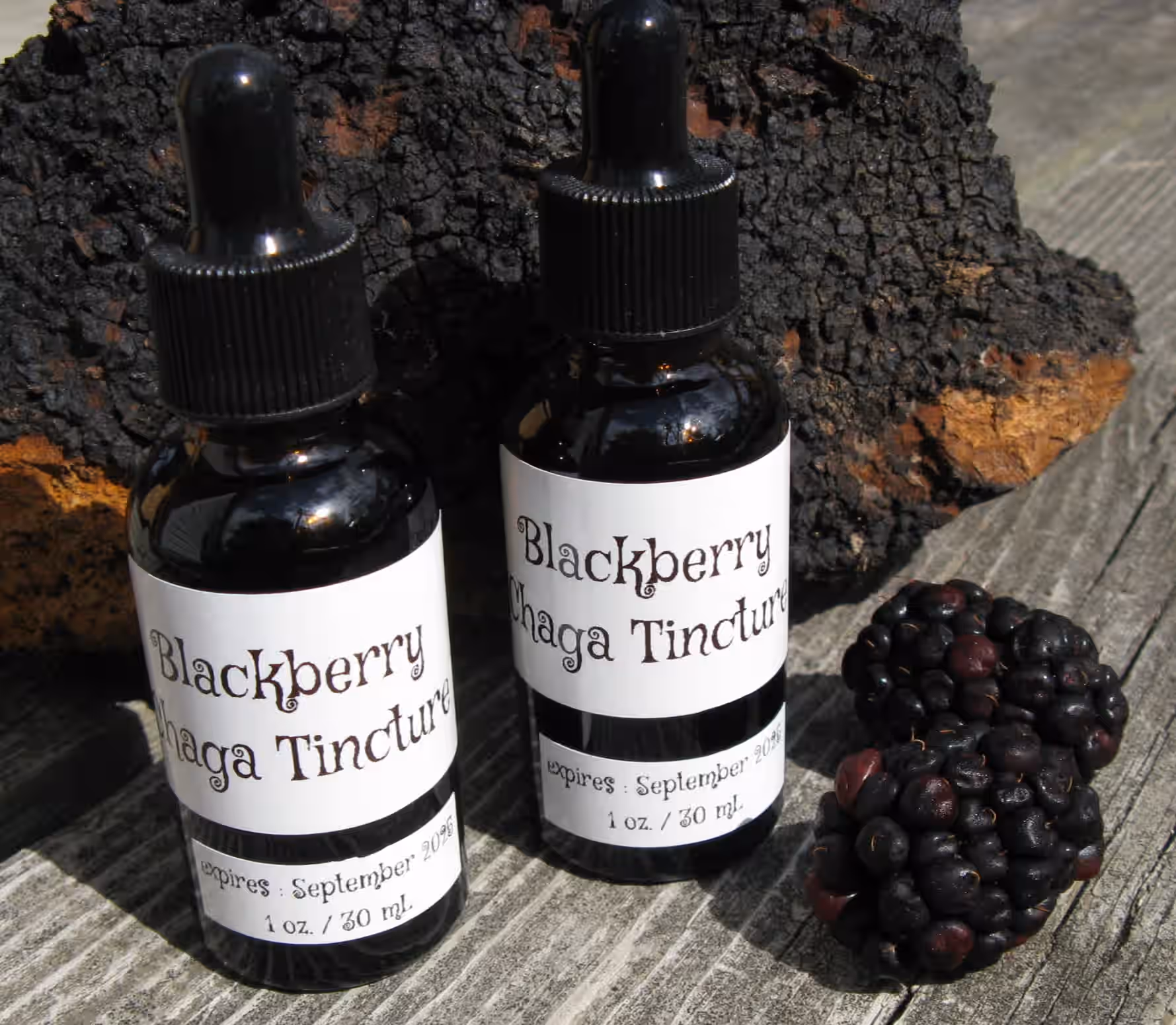 Blackberry Chaga Tincture for Immunity