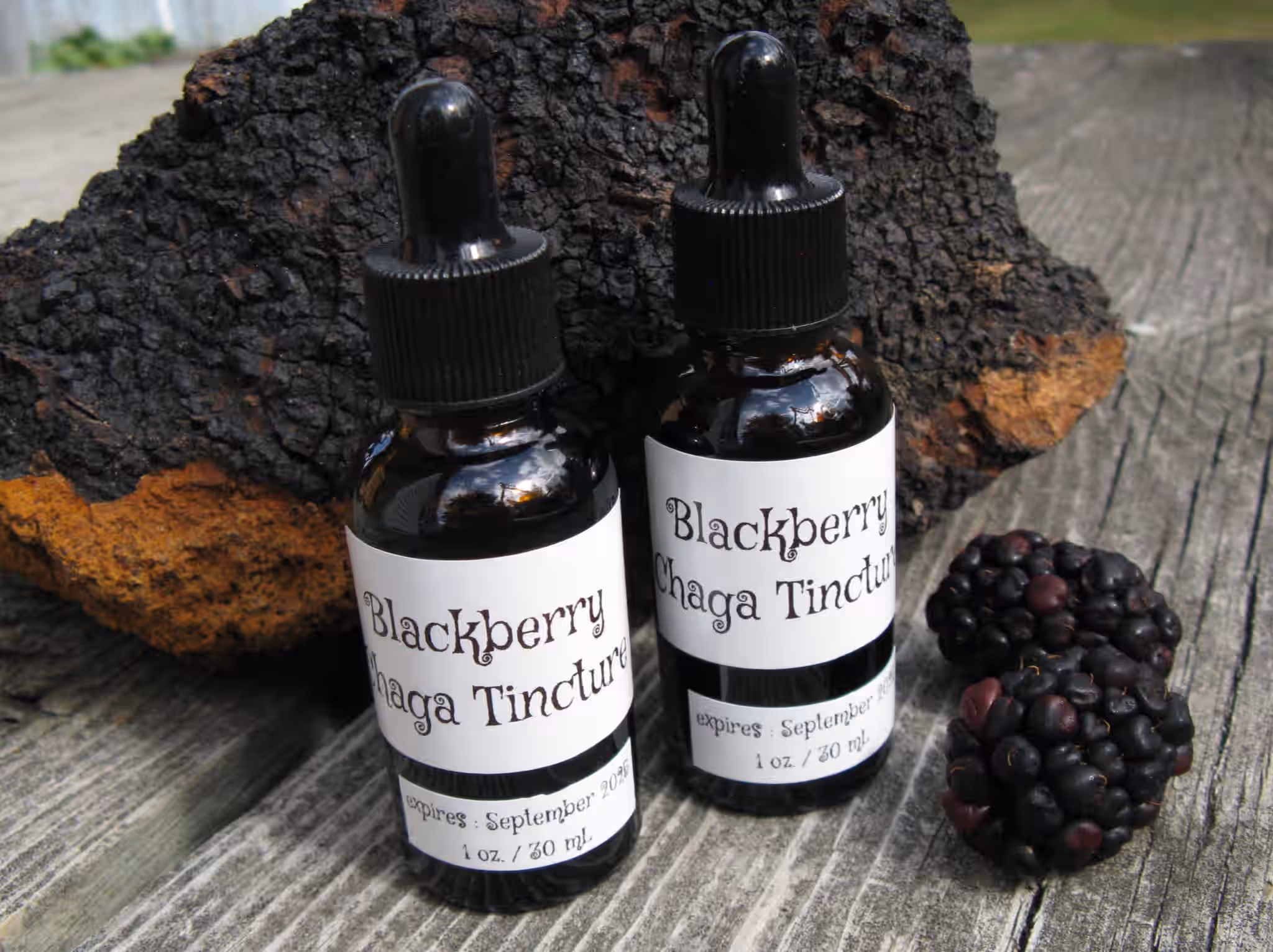 Blackberry Chaga Tincture for Immunity