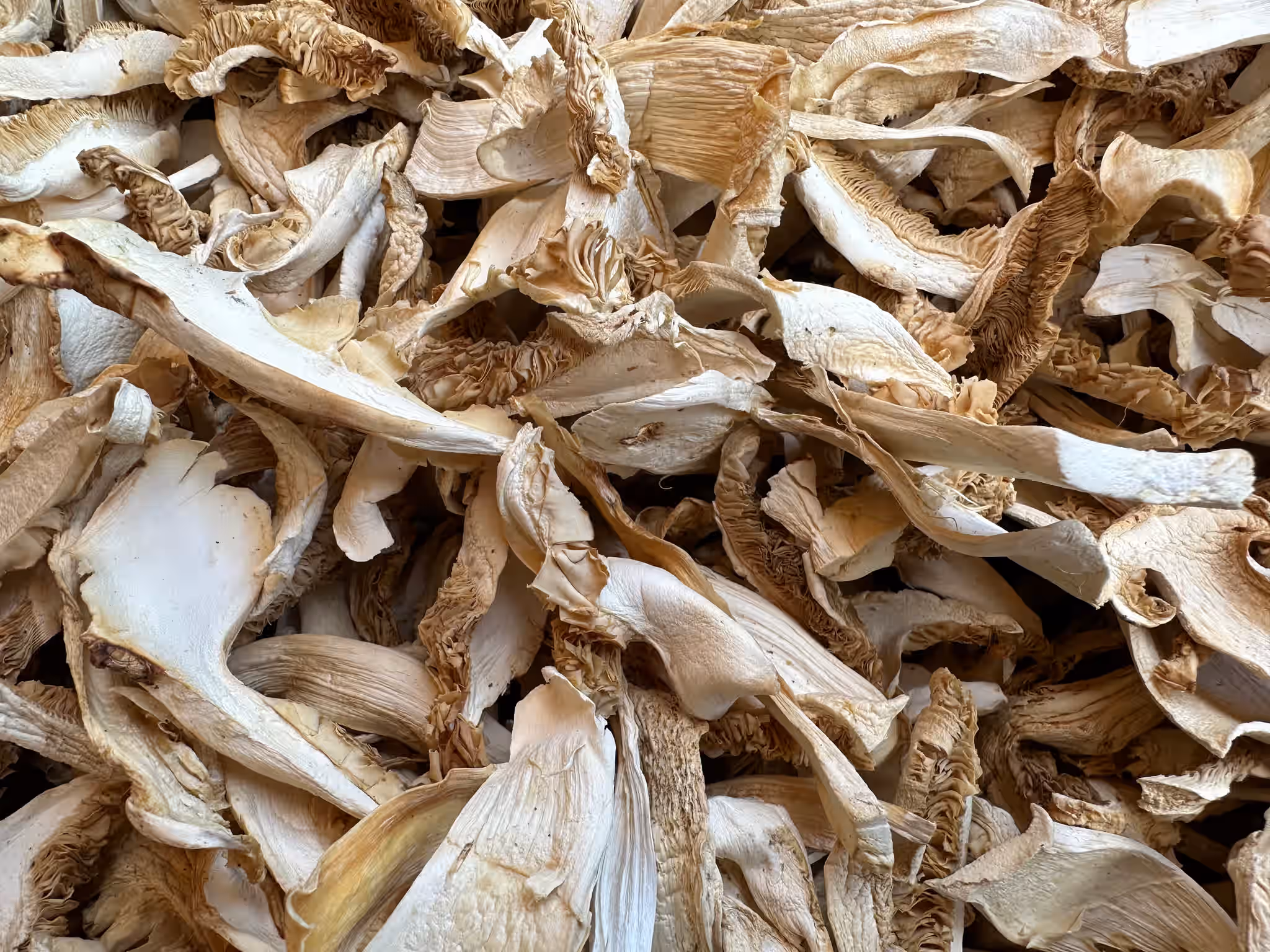 Dried matsutake