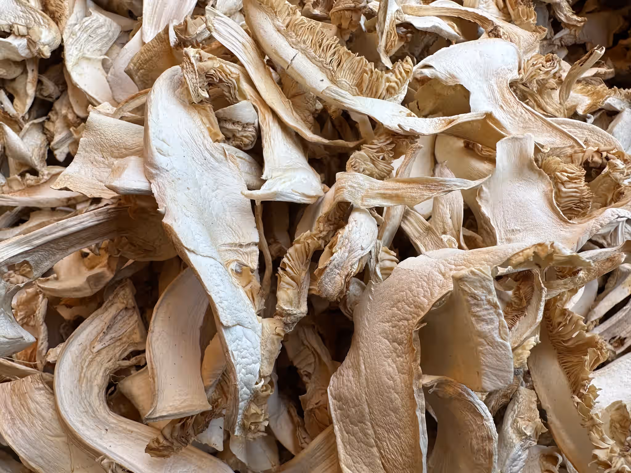 Dried matsutake