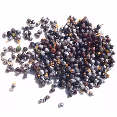 Frozen Elderberries