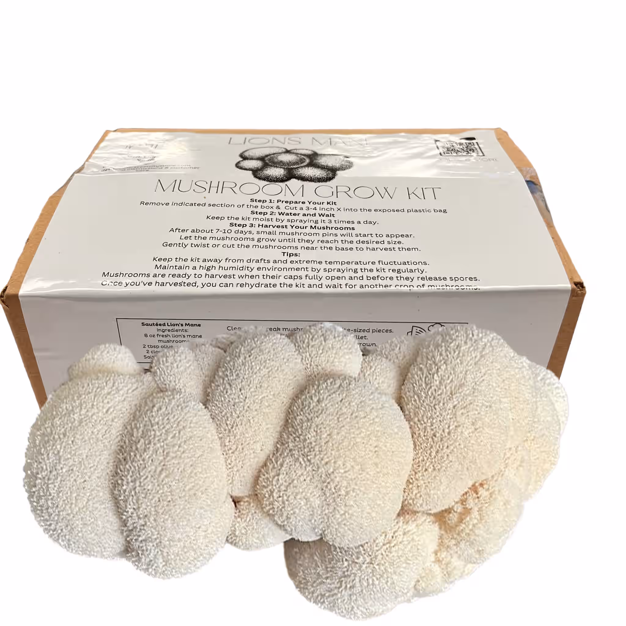 Lions Mane Mushroom Grow Kit