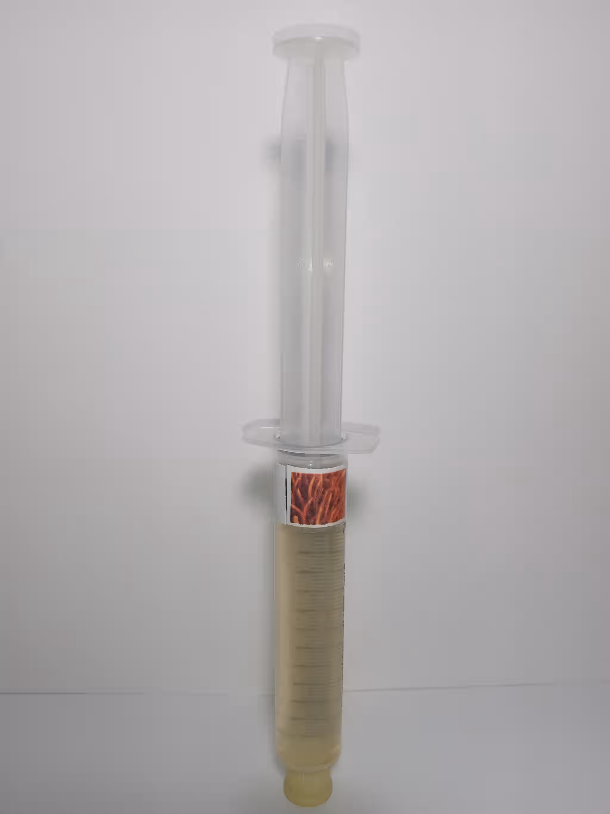 Cordyceps Militaris Mushroom Mycelium Liquid Culture 12ml