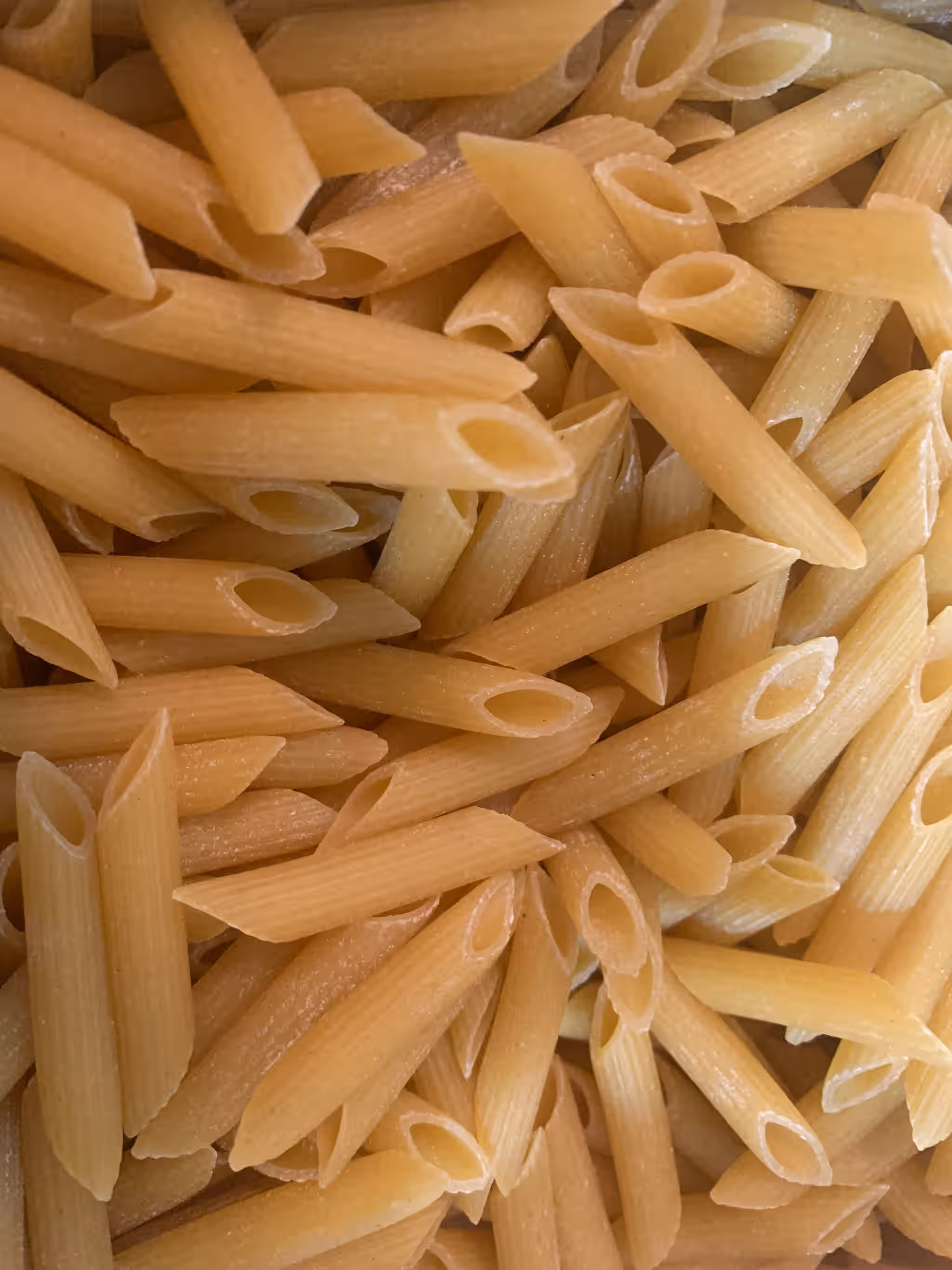 Handmade Dried Duck Egg Penne (1 lb)