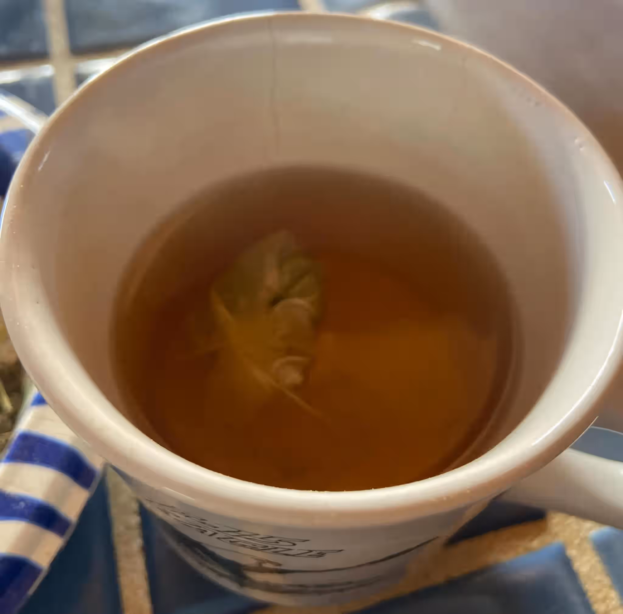 11-32 Tea Bags - Wild Foraged California Mormon Tea: Organic Herbal Brigham Bags from Mojave Desert