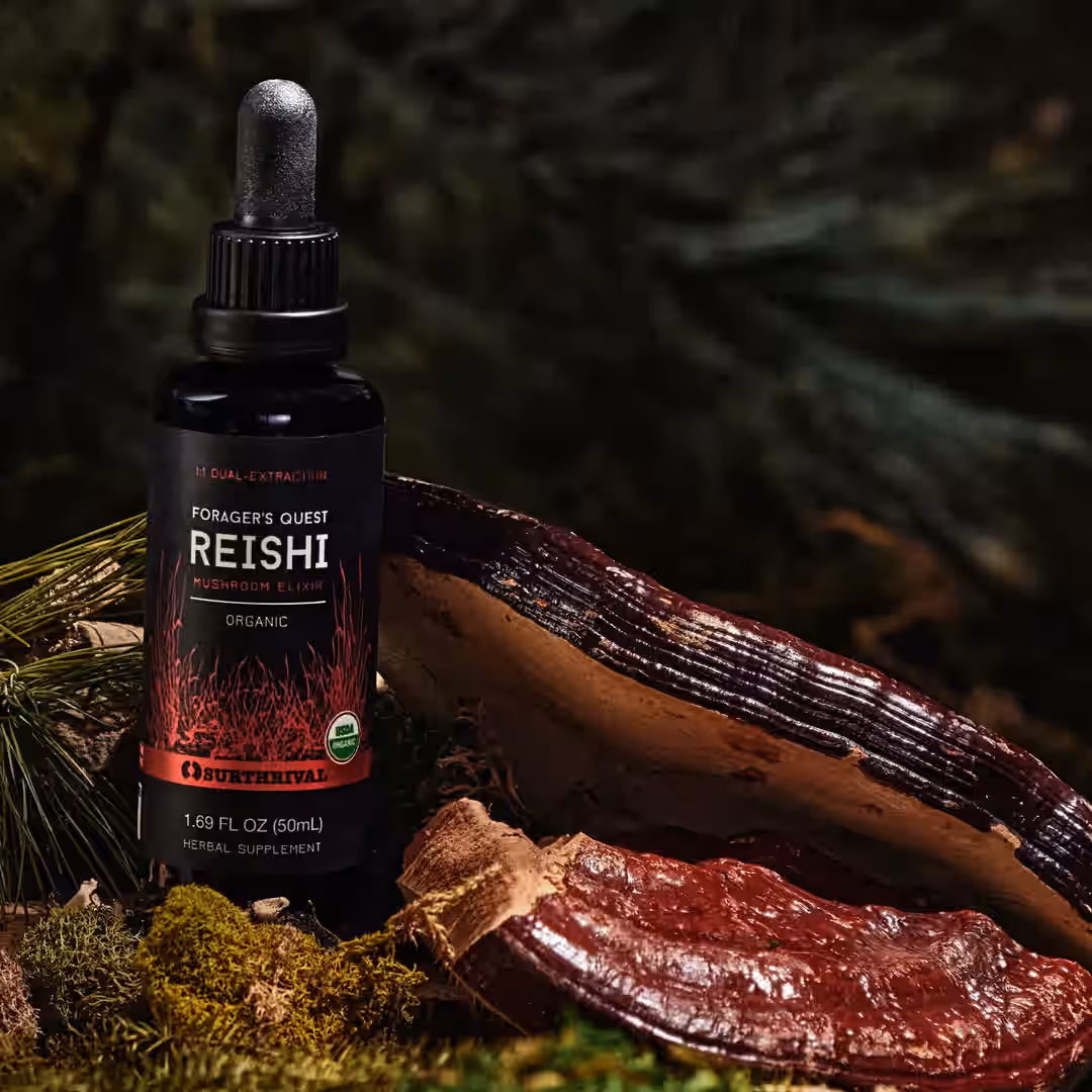 Reishi Extract - Forager's Quest