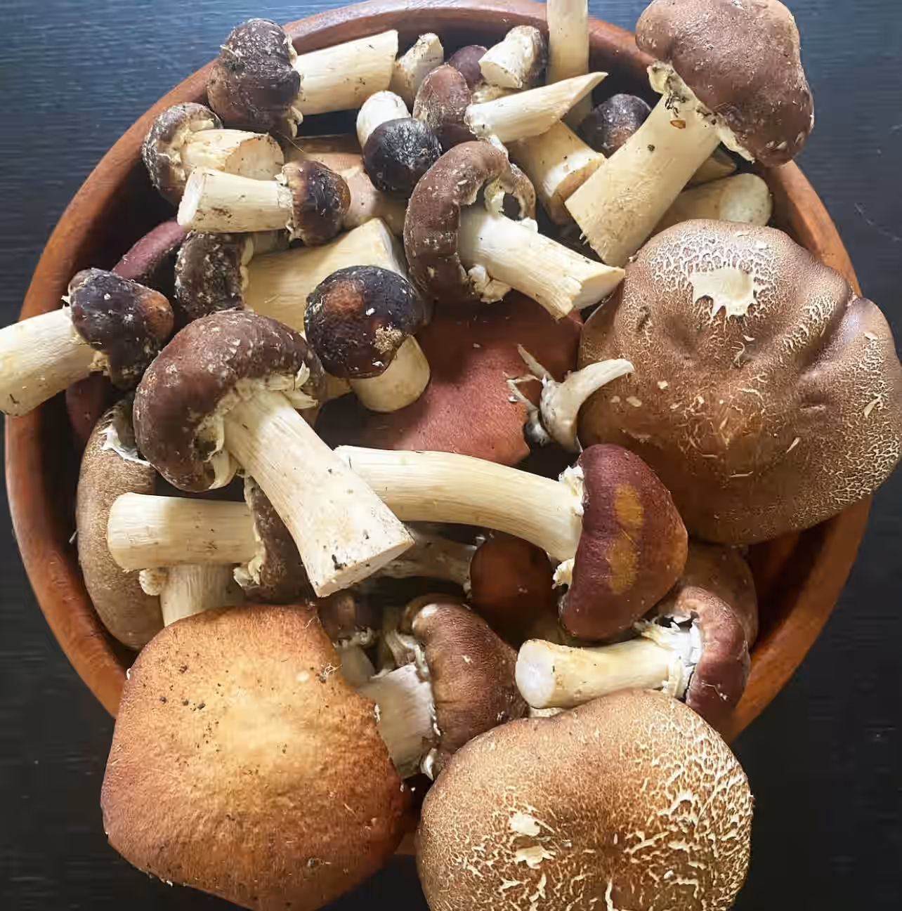 Wine Cap Mushrooms