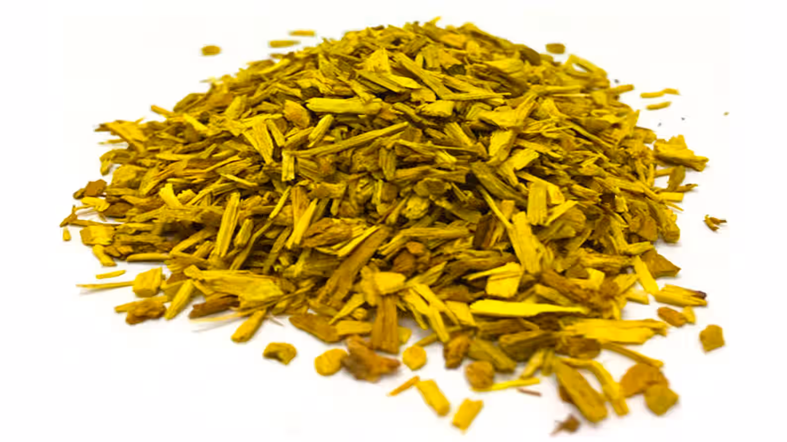 Barberry Root Wild harvested from Catskill Forest Berberis Vulgaris Berberine