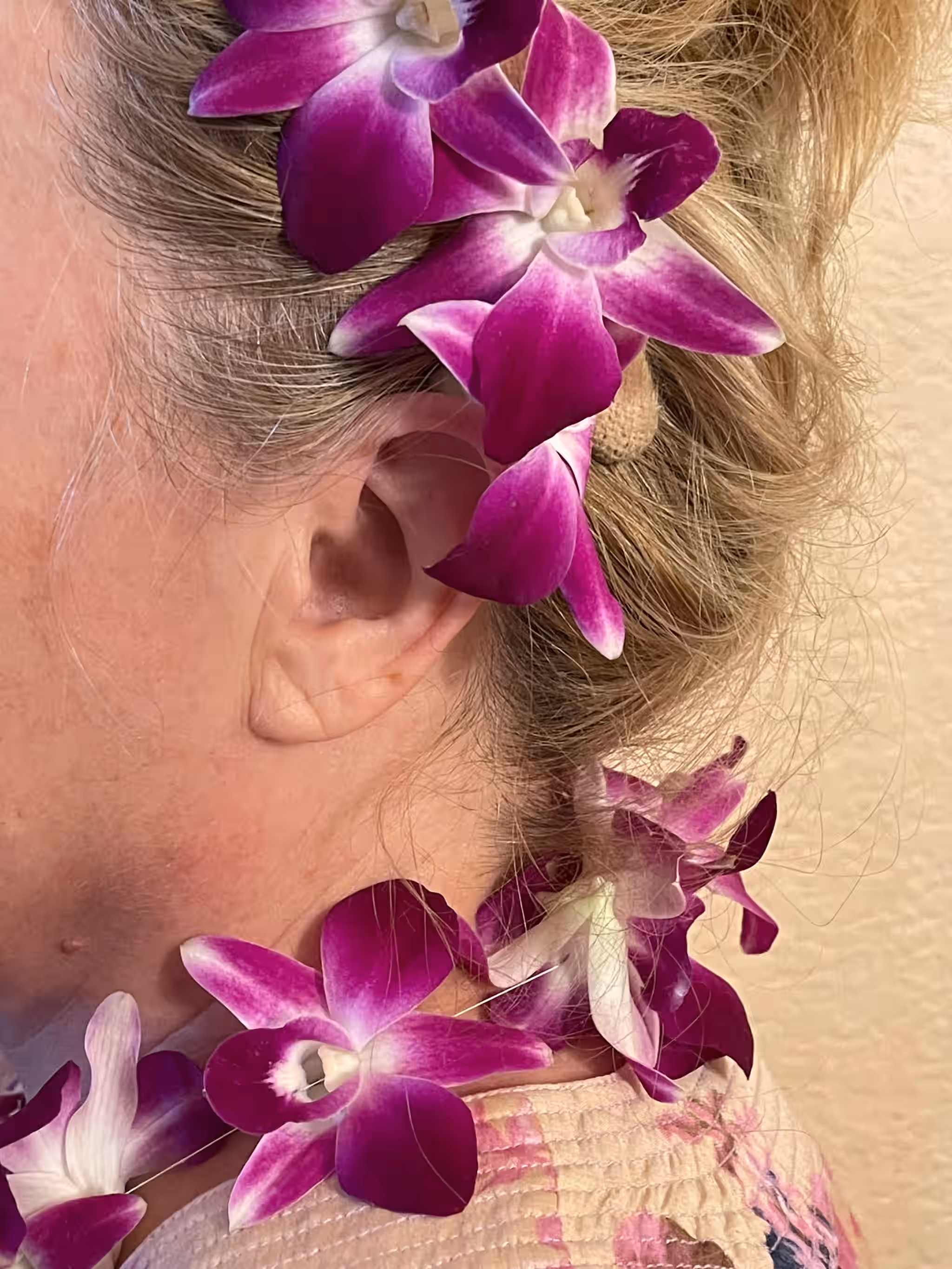 Purple Dendrobium Fresh Cut Orchids 50 Count pack for Lei and Food Decorations (Red Sonia) 3 Purple Dendrobium Fresh Cut Orchids 50 Count pack for Lei and Food Decorations (Red Sonia)