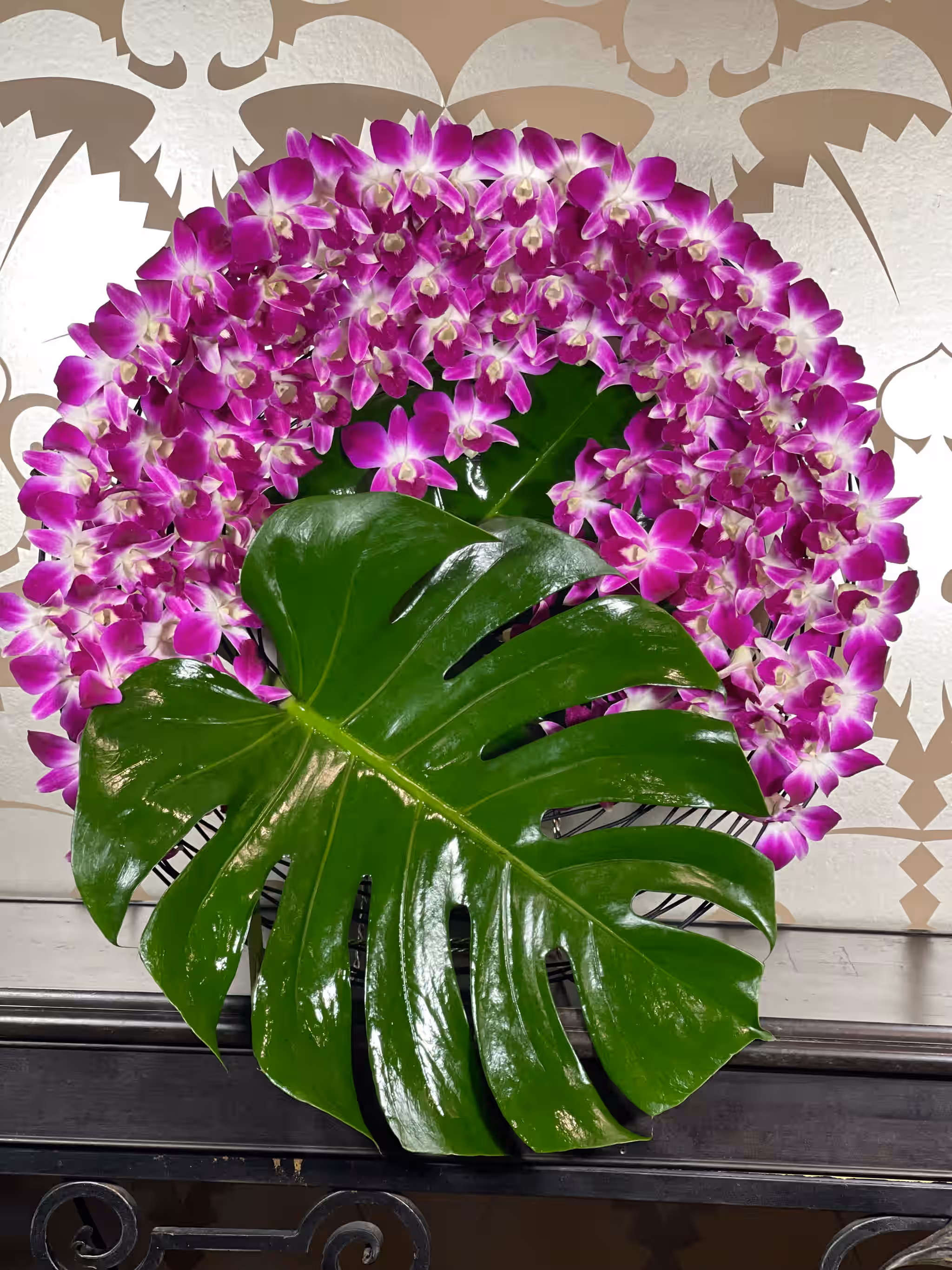 Purple Dendrobium Fresh Cut Orchids 50 Count pack for Lei and Food Decorations (Red Sonia) 4 Purple Dendrobium Fresh Cut Orchids 50 Count pack for Lei and Food Decorations (Red Sonia)