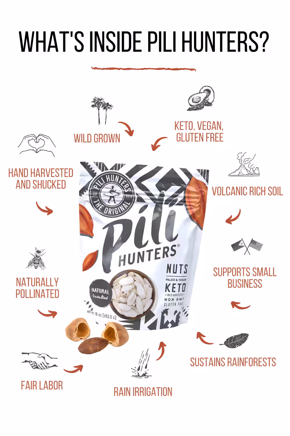 Pili Hunters‚Ñ¢ Unsalted (Plain) Pili Nuts