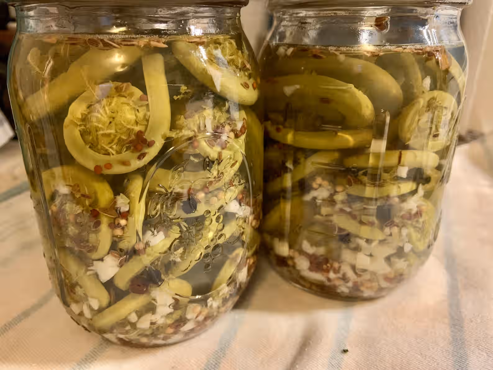 Pickled Fiddleheads