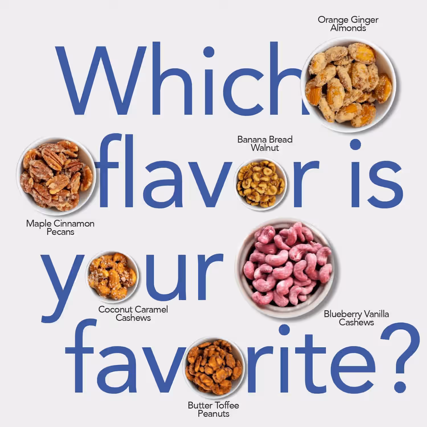 Candied Nuts - 1oz Variety 10 Pack 5 Candied Nuts - 1oz Variety 10 Pack