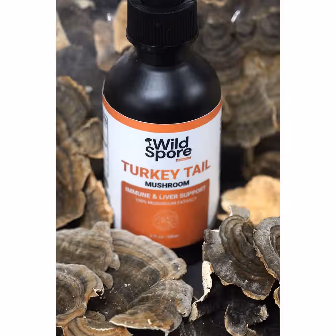 Organic Turkey Tail Mushroom Tincture