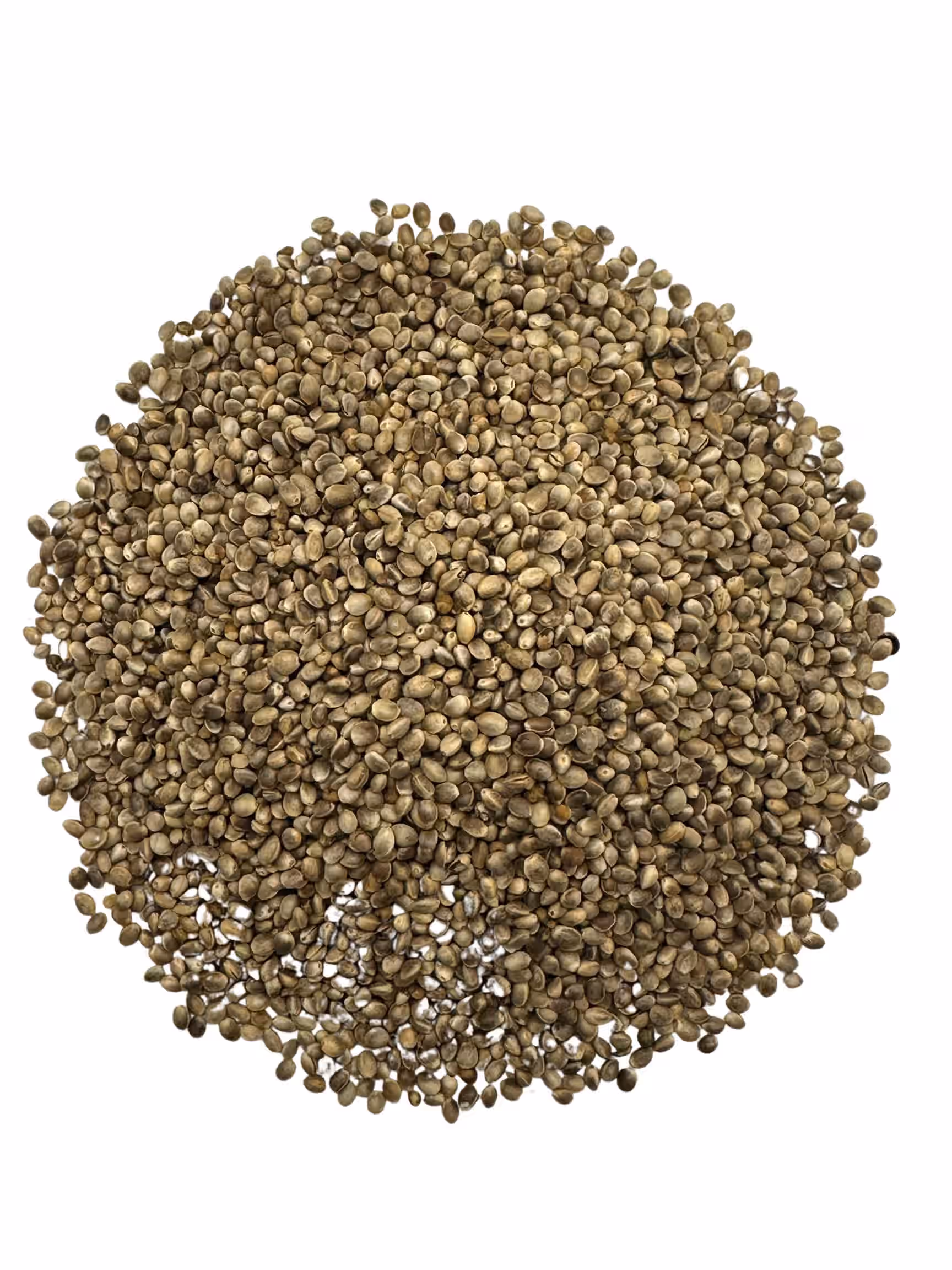 Roasted Hemp Seeds - Unsalted