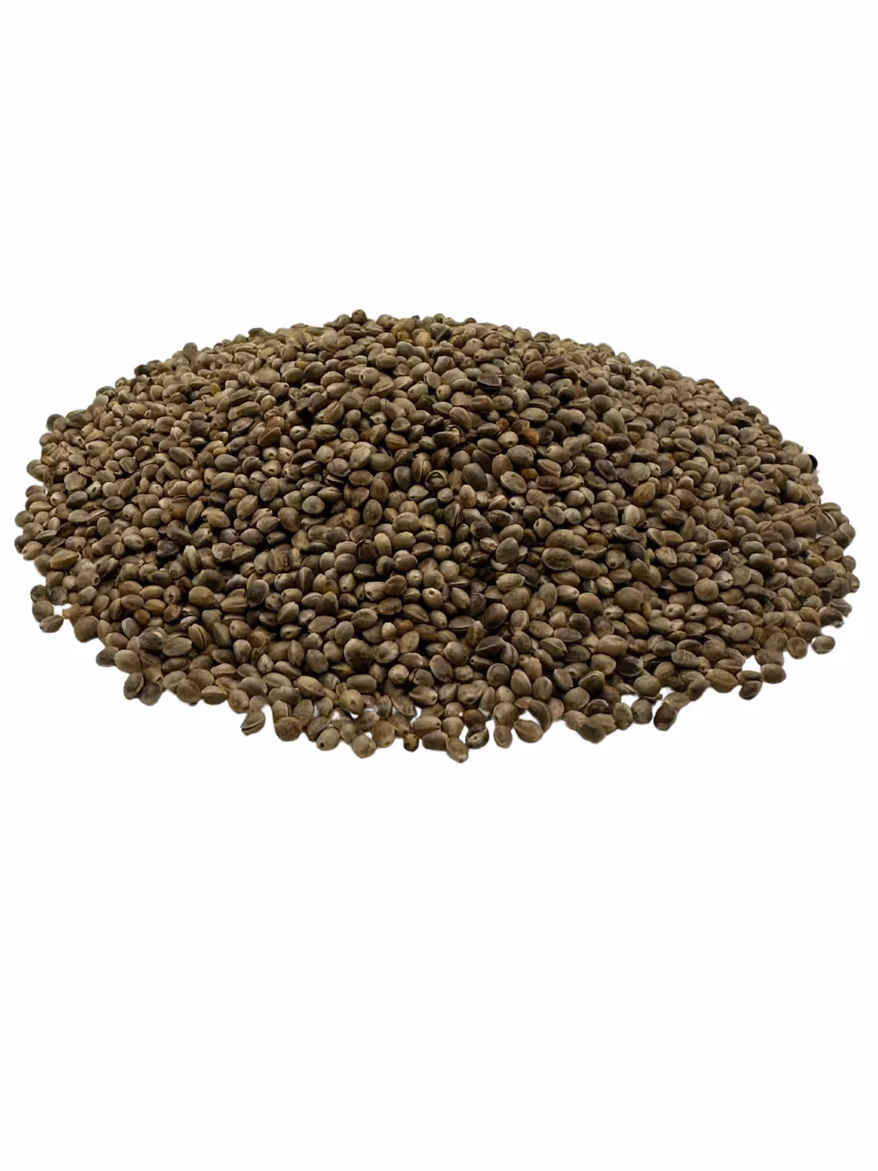 Roasted Hemp Seeds - Unsalted